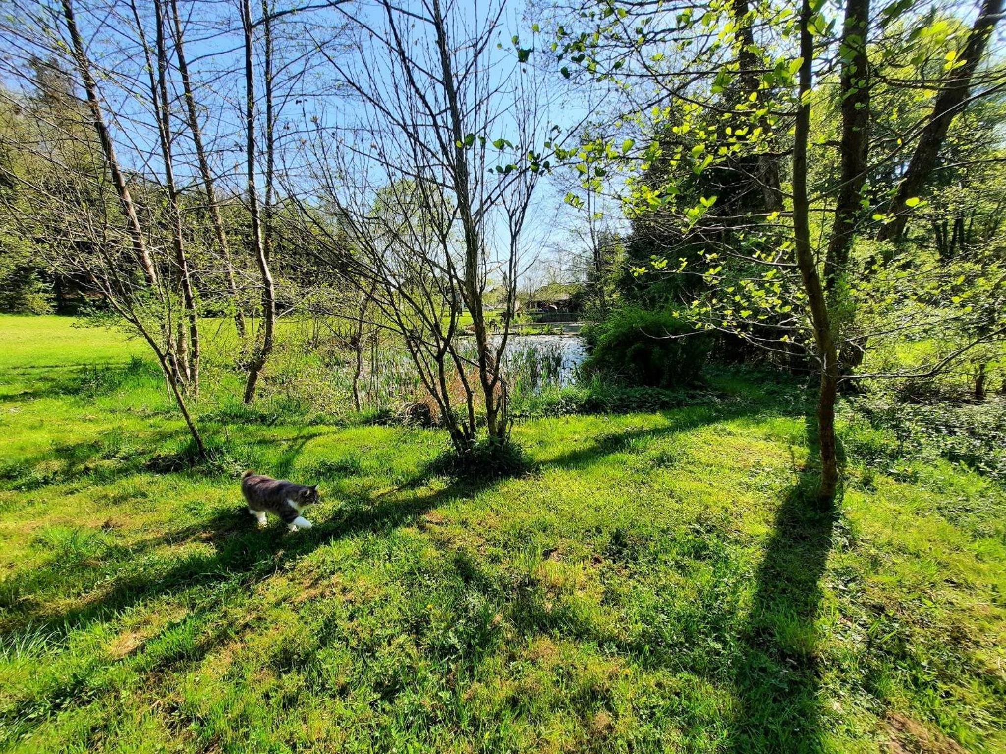 Apartment AlpiPond