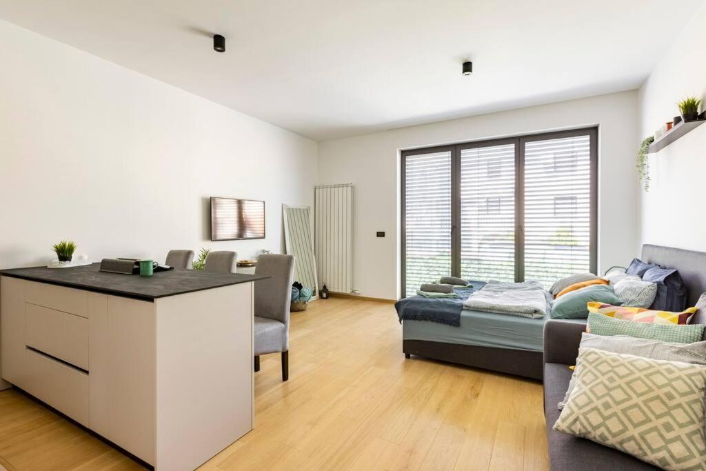 Downtown central1~Novi Dorcol~35m2~walk everywhere view 5