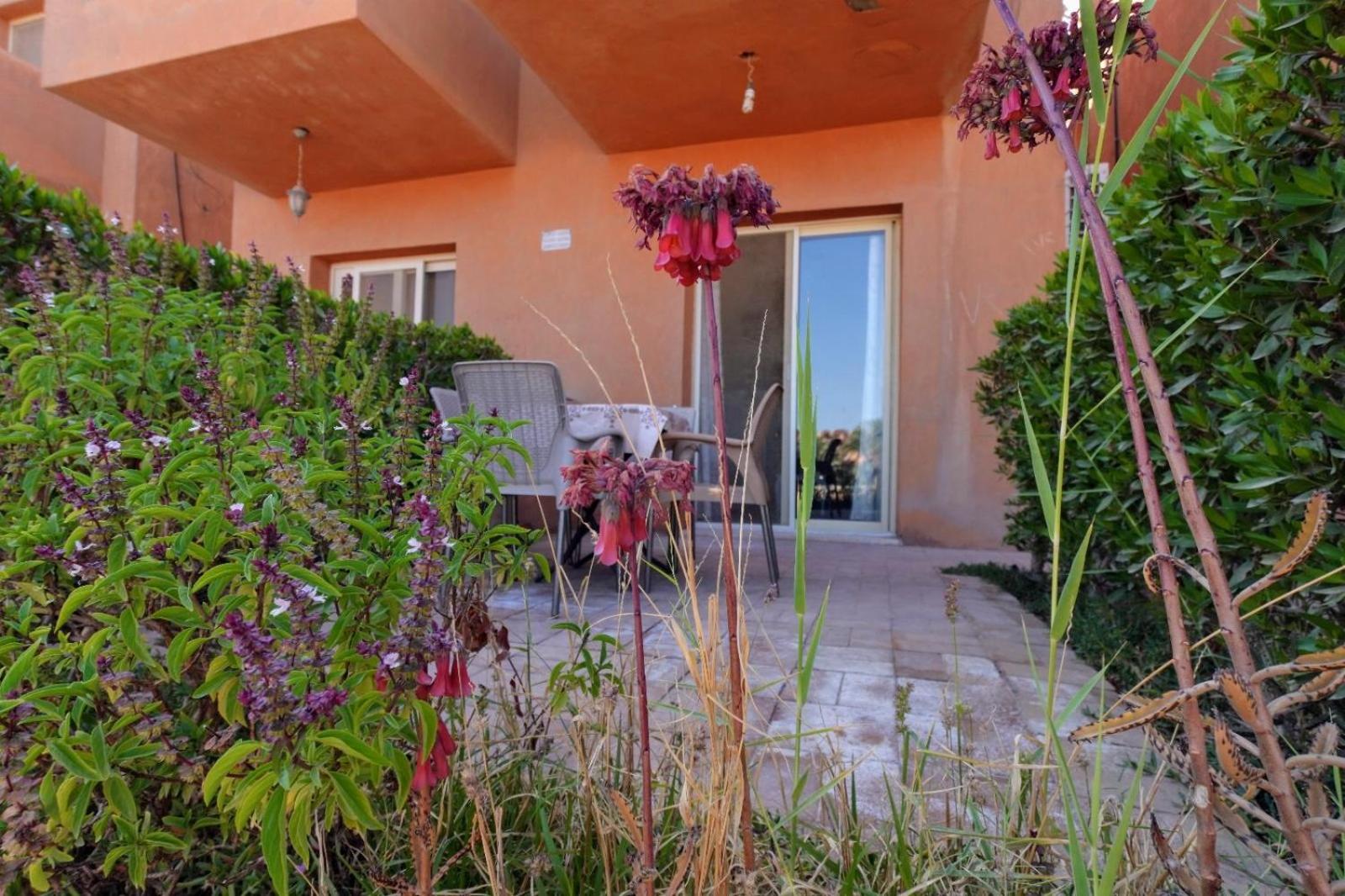Ground floor chalet in stella sea view Sokhna Families only
