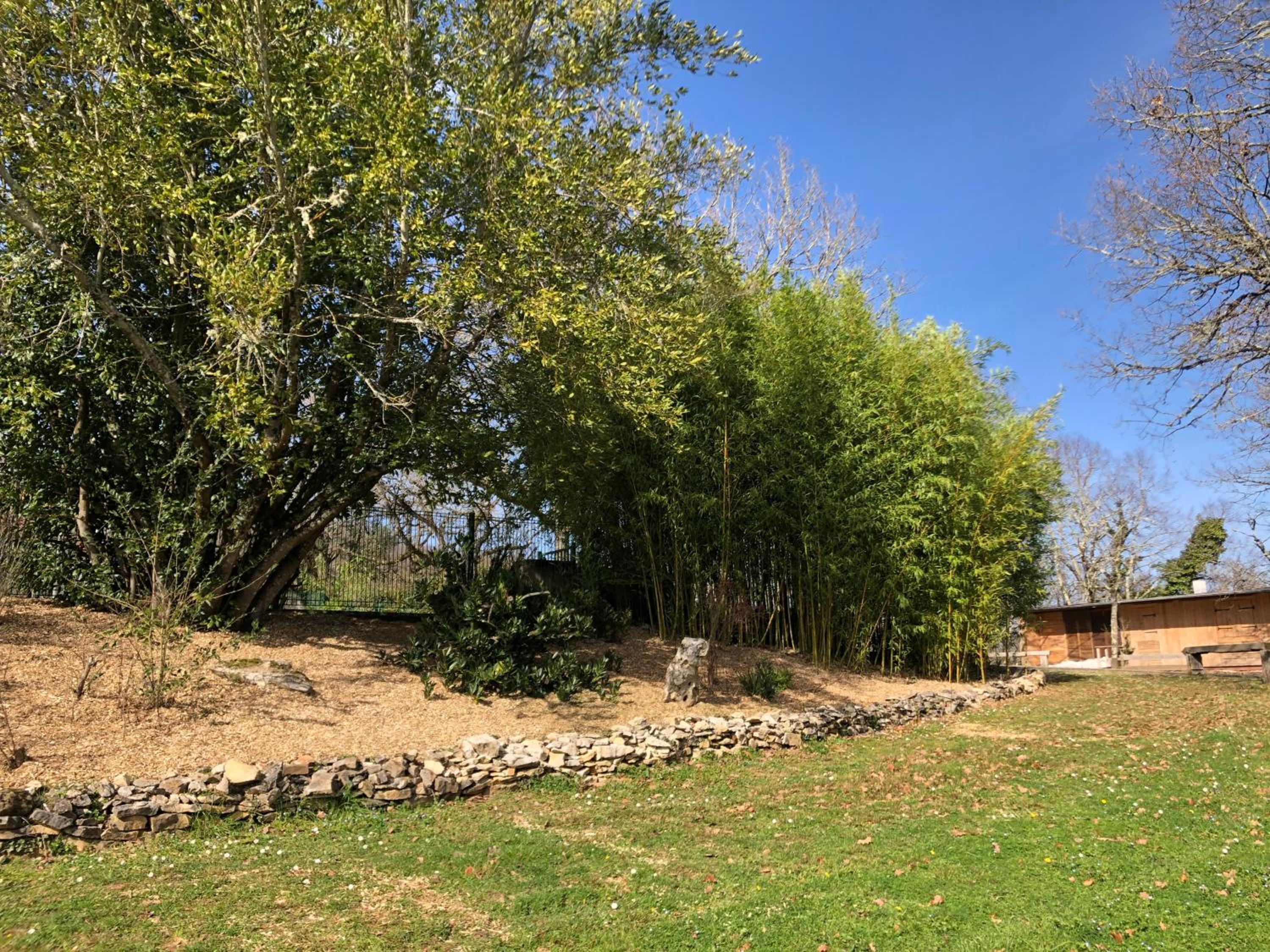 Village Vacances Famille Château de Termes