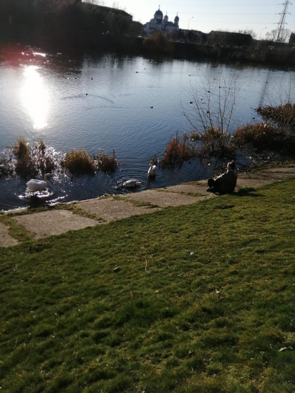 Photo 29