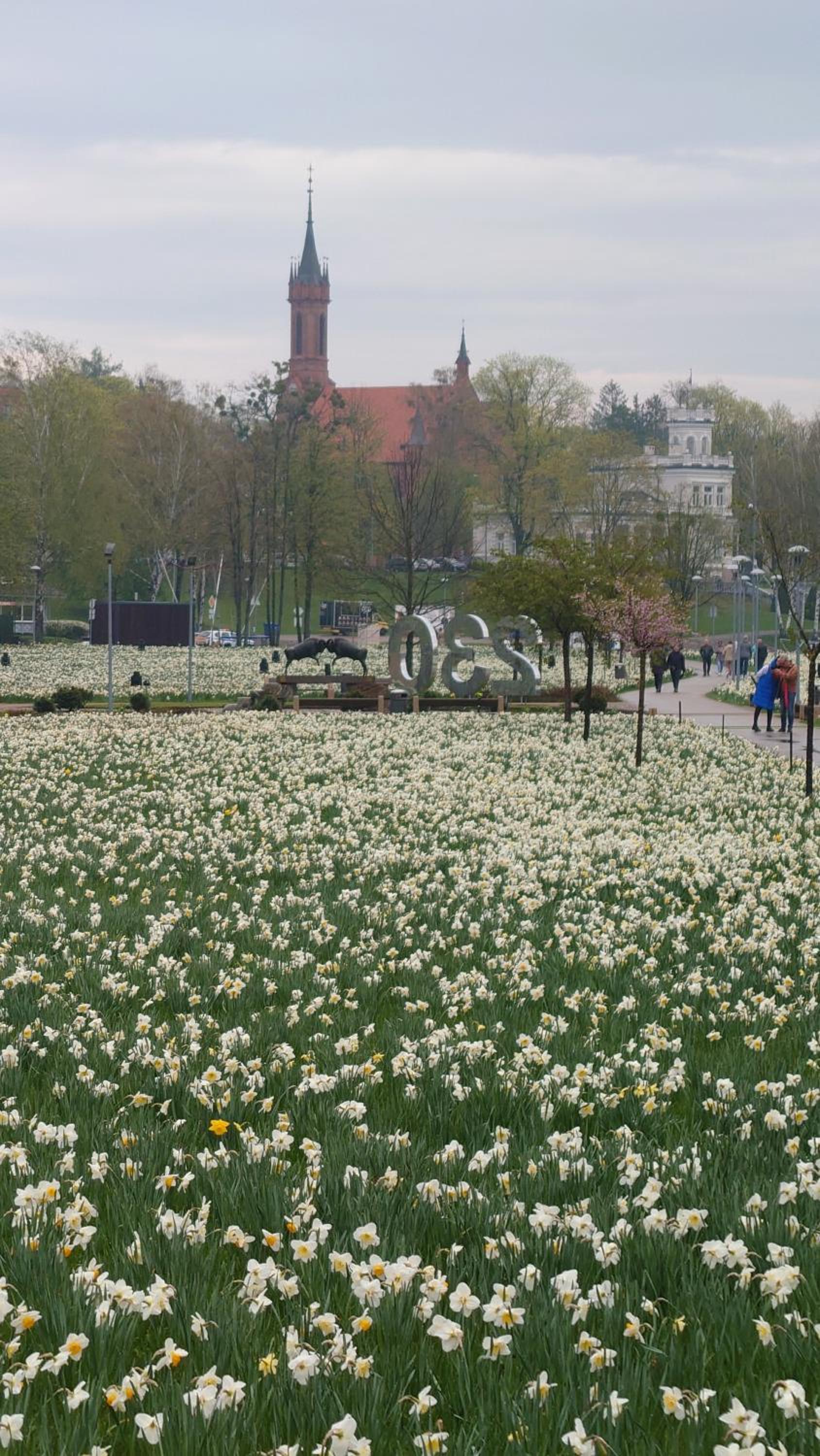 Druskininkų Pasaga