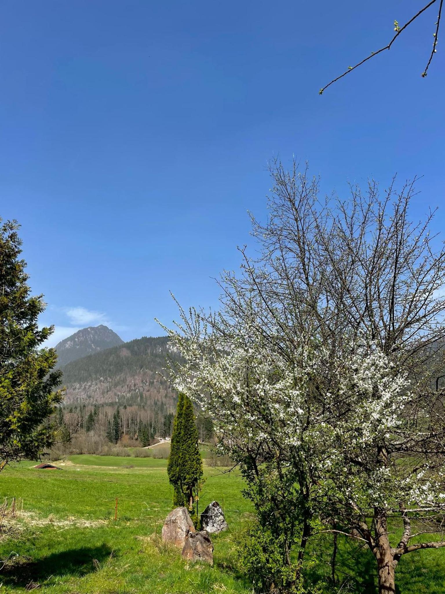 Ferienwohnung Alpenherz Berchtesgaden