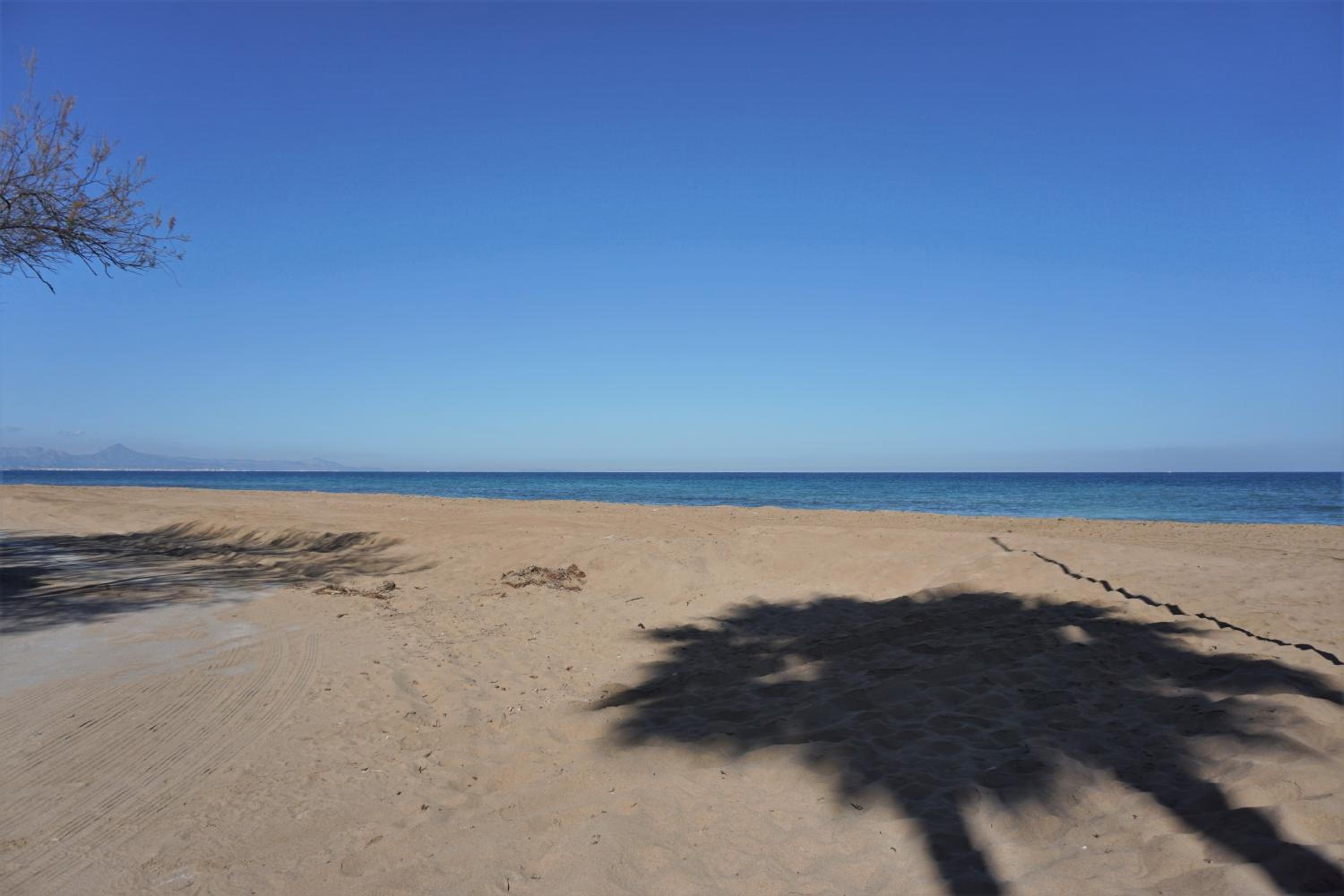 Los Naranjos