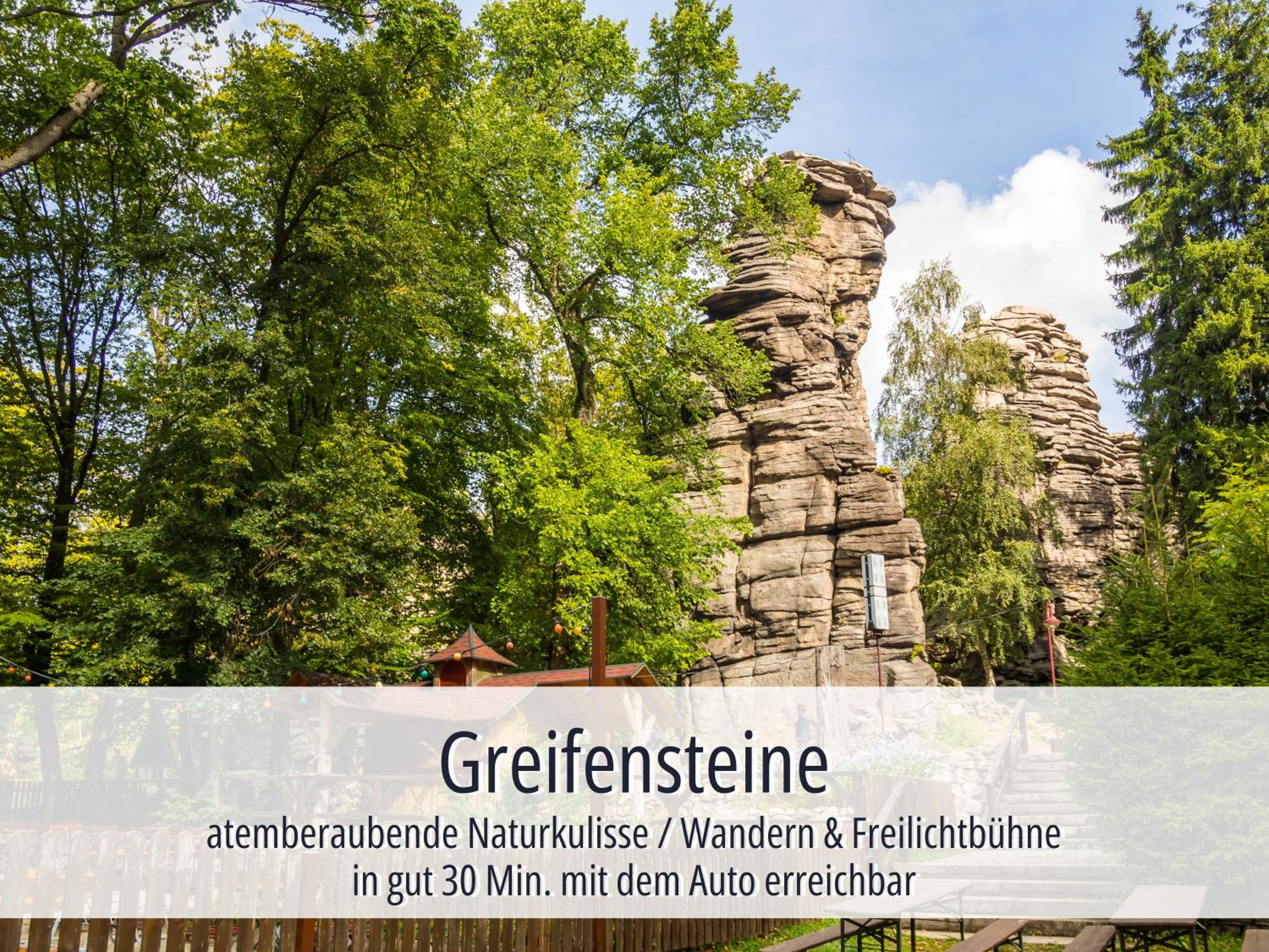 Hotel Am Kurhaus mit erstem Ayurveda Center Sachsens - direkt am Gesundheitsbad ACTINON Kurpark - Property Image 71