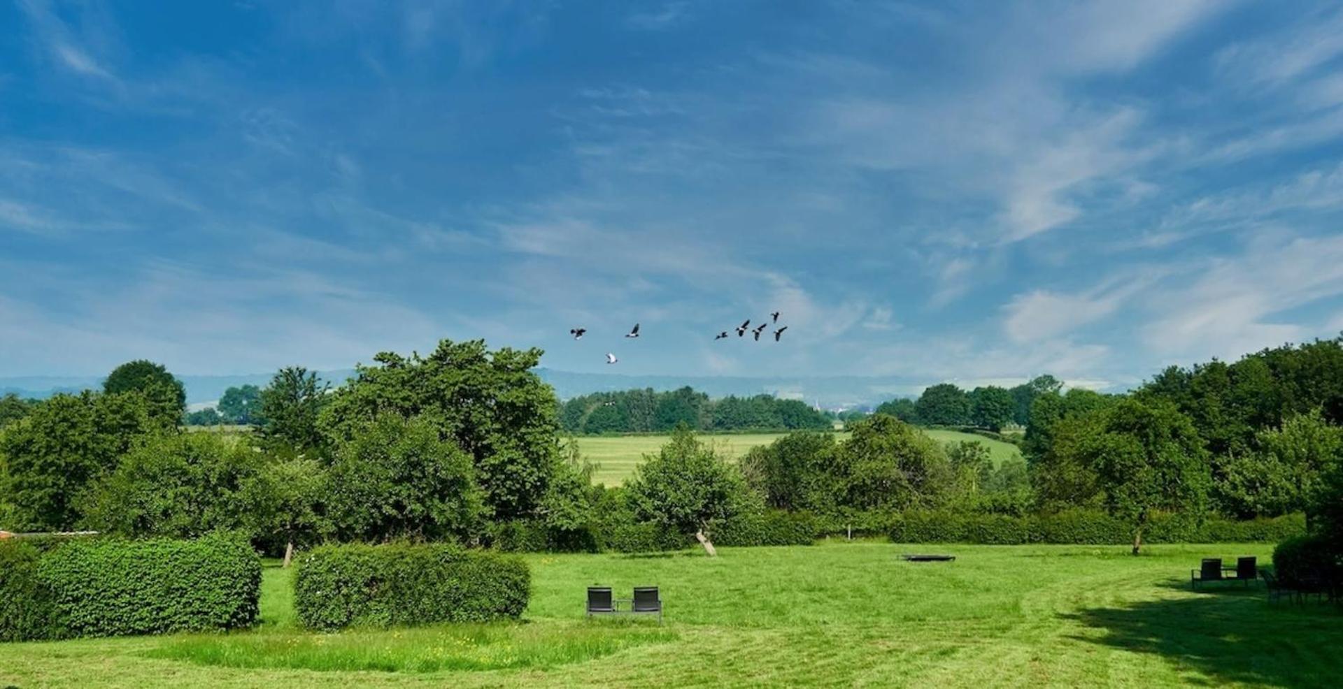 Luxe voor 2 in het heuvelland-De Trekvogel view 2