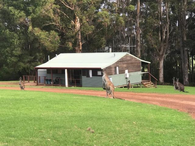 Tinglewood Cabins