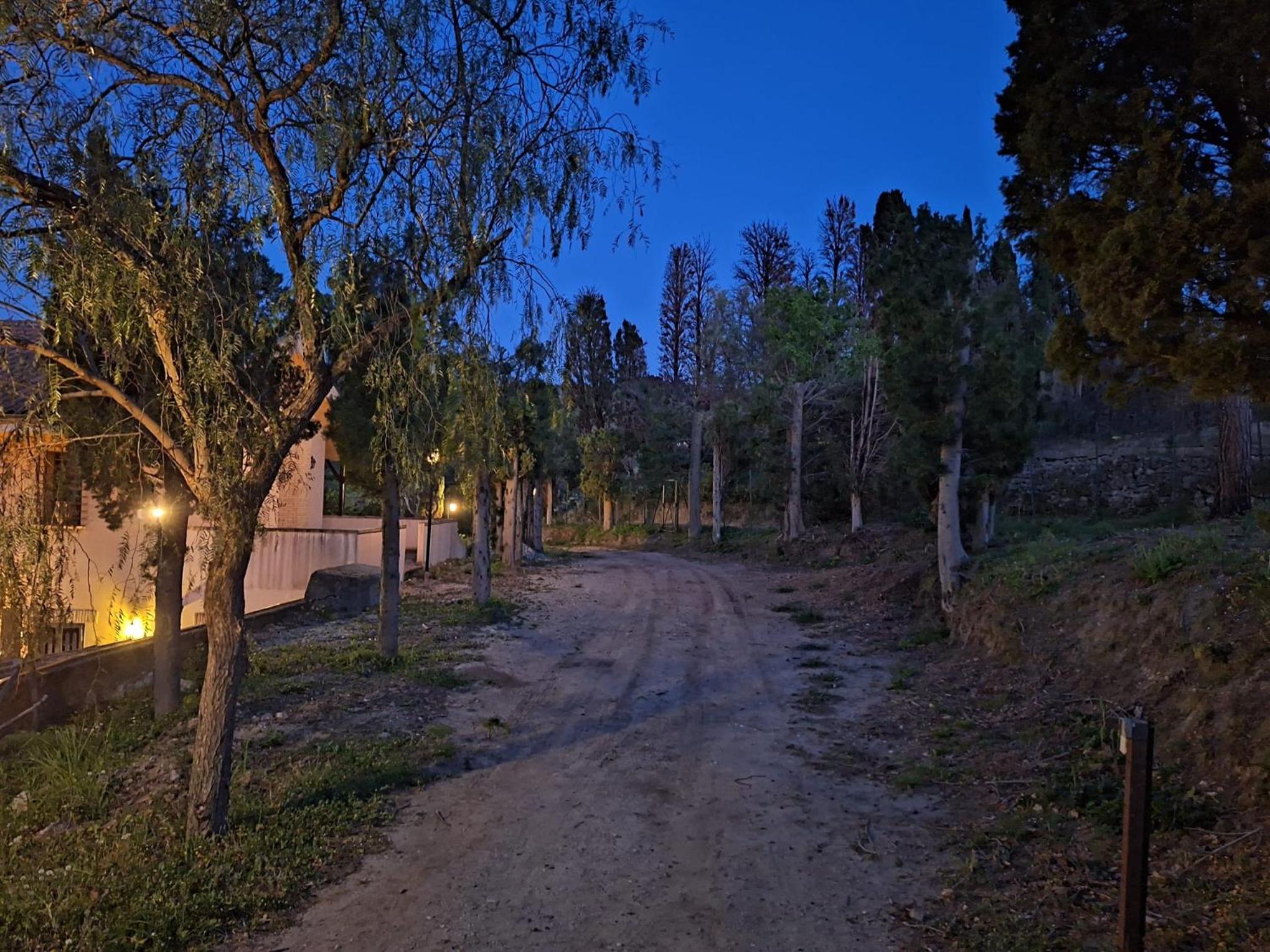 Photo 41