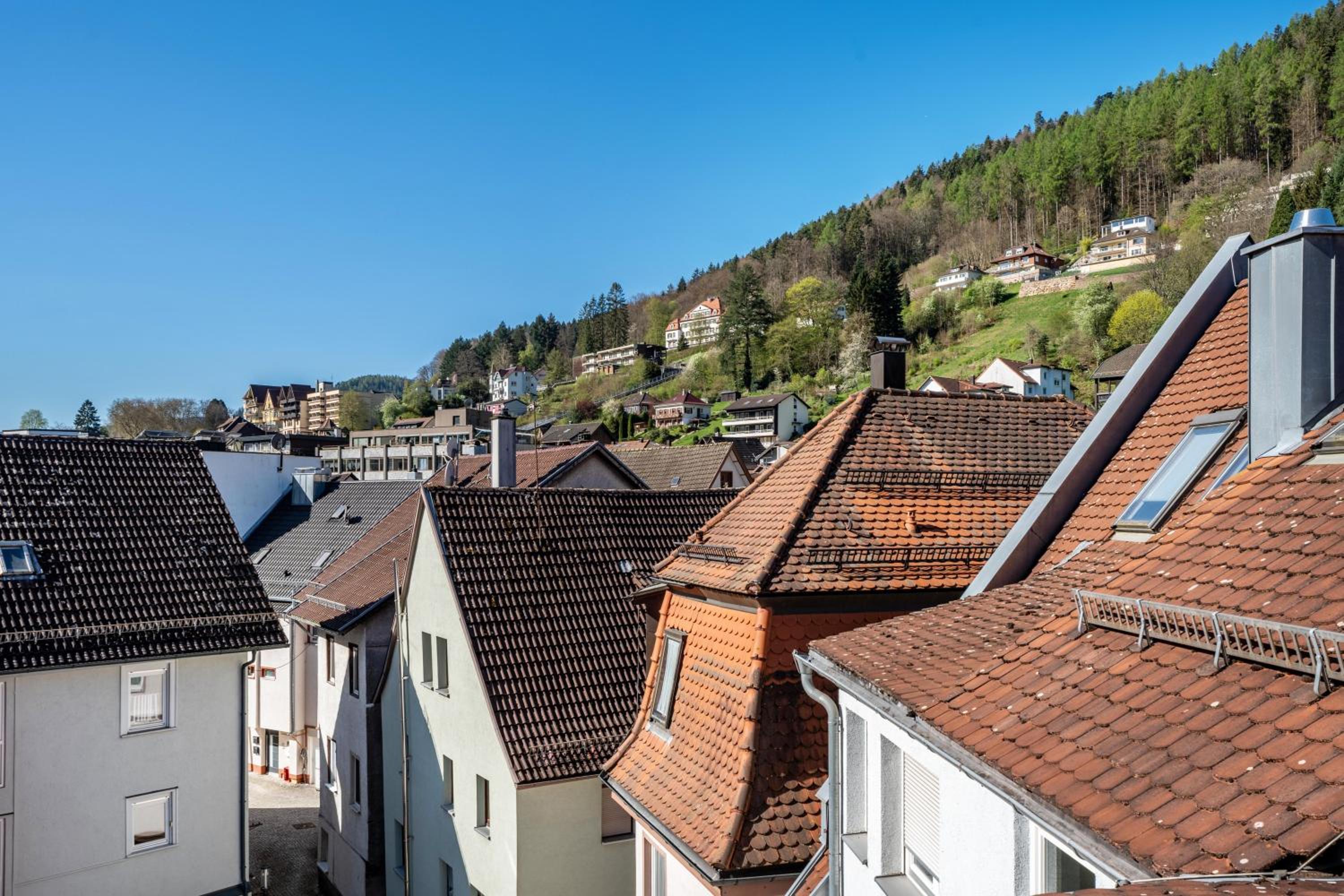 Schwarzwaldnest