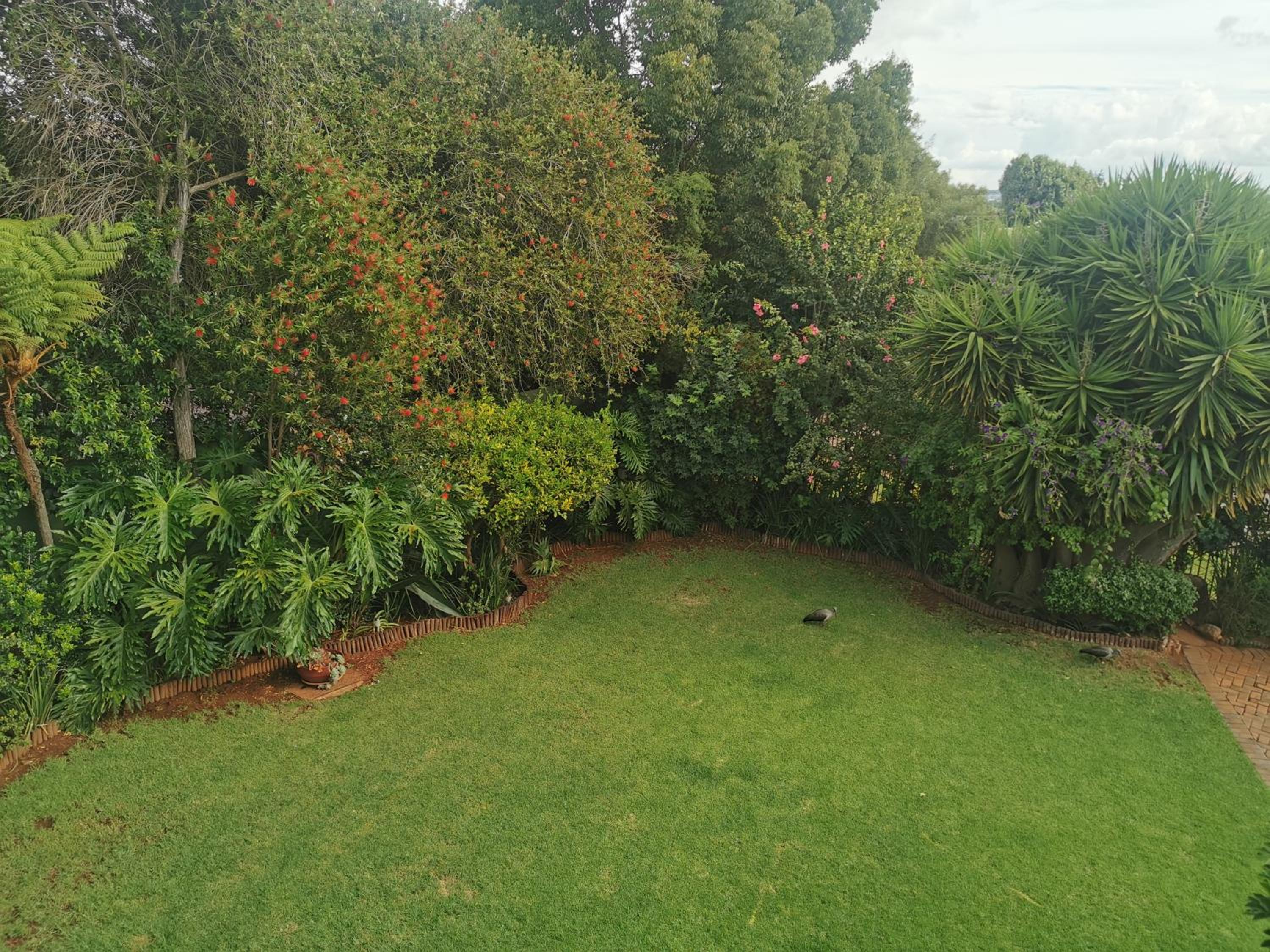 Villa Stella Guest House, photo 55