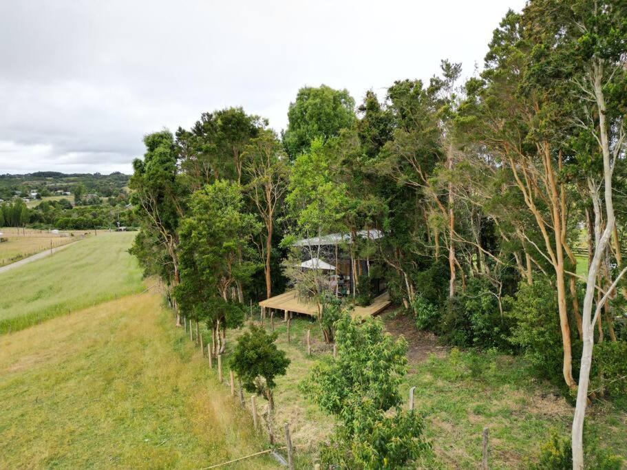 Cabaña en el bosque Chiloé