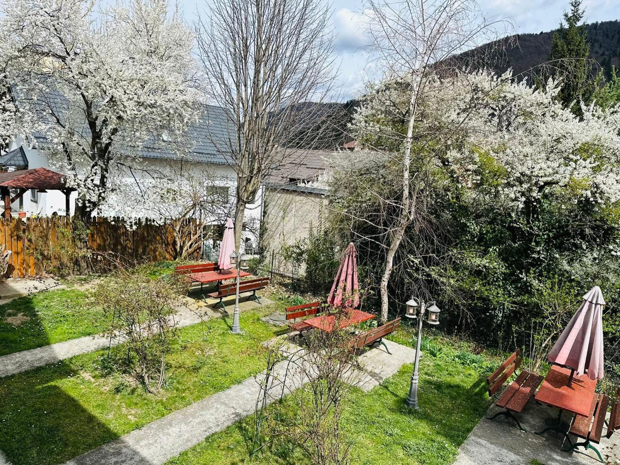 Vila Rapsodia Sinaia