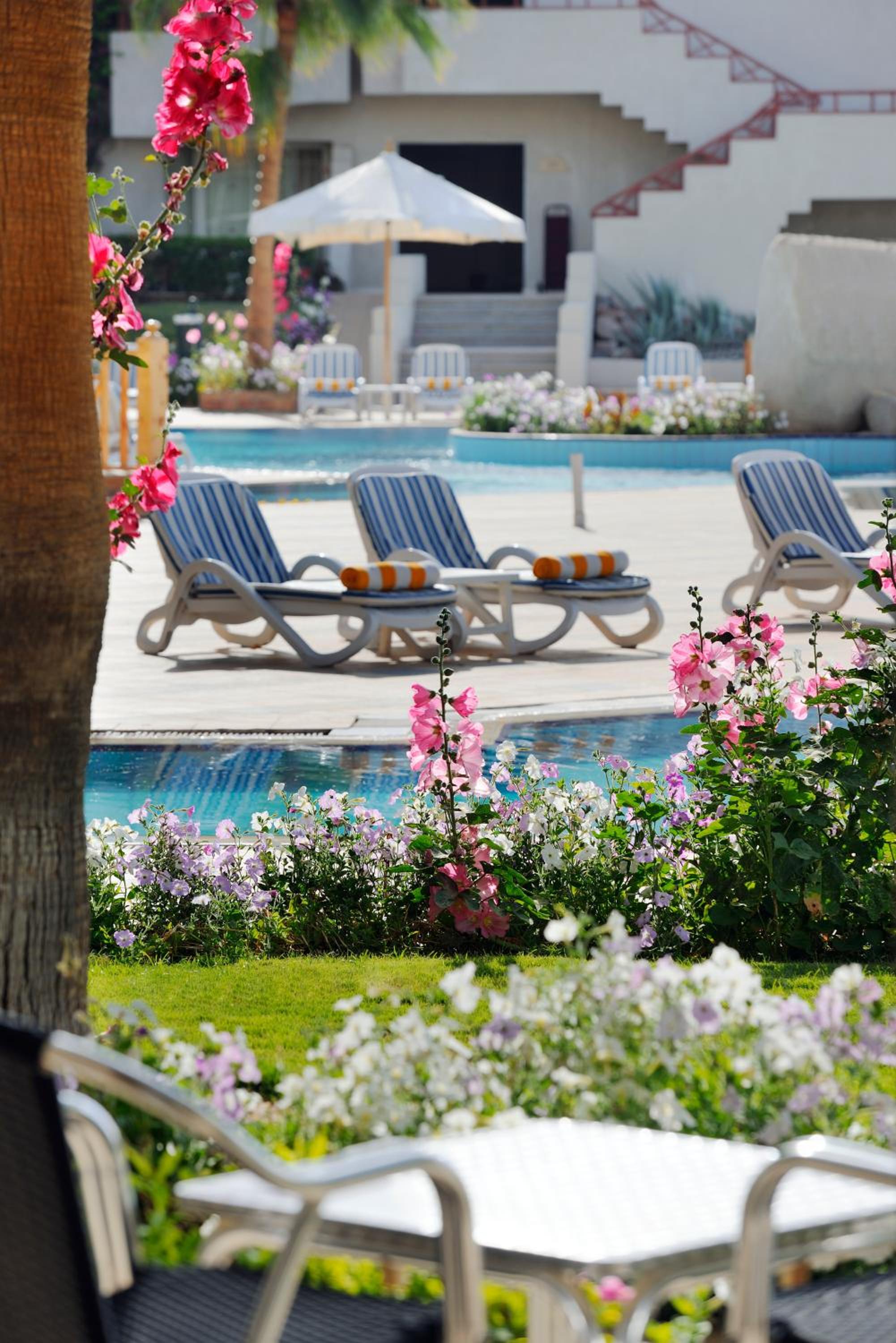 Naama Bay Promenade Beach Resort Managed By Accor — photo 86