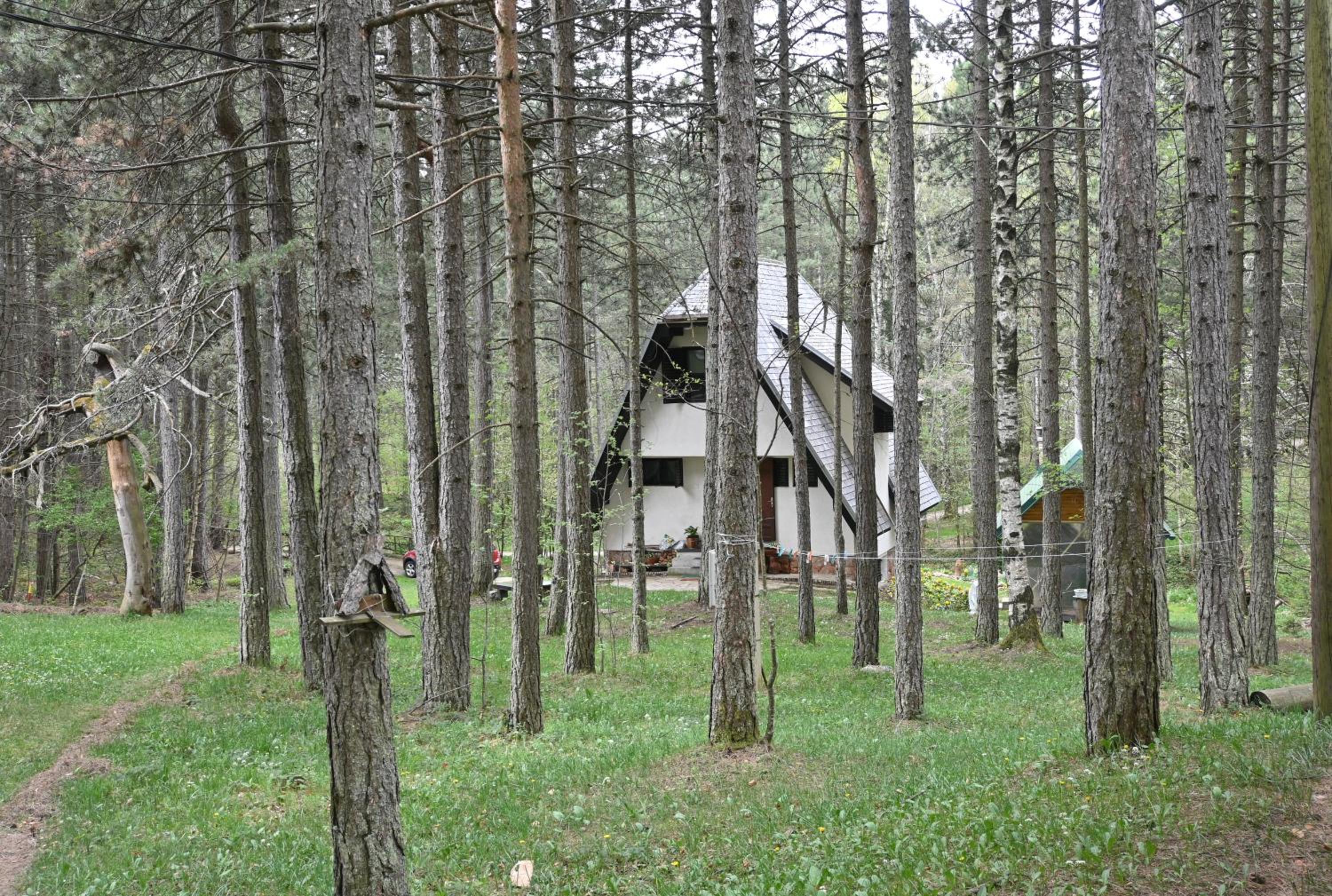 Photo 23