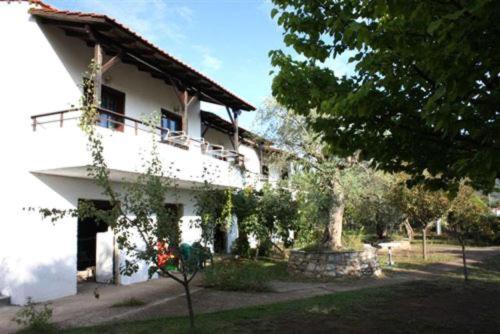 Olive Studios and Apartments
