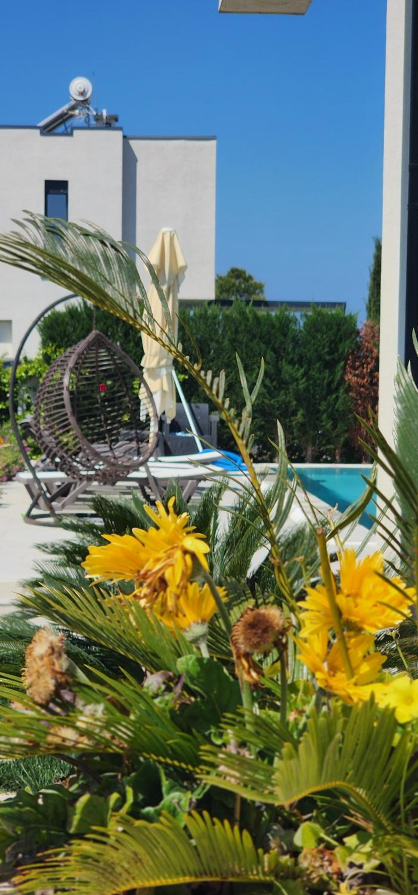 Vila 29 Valamar