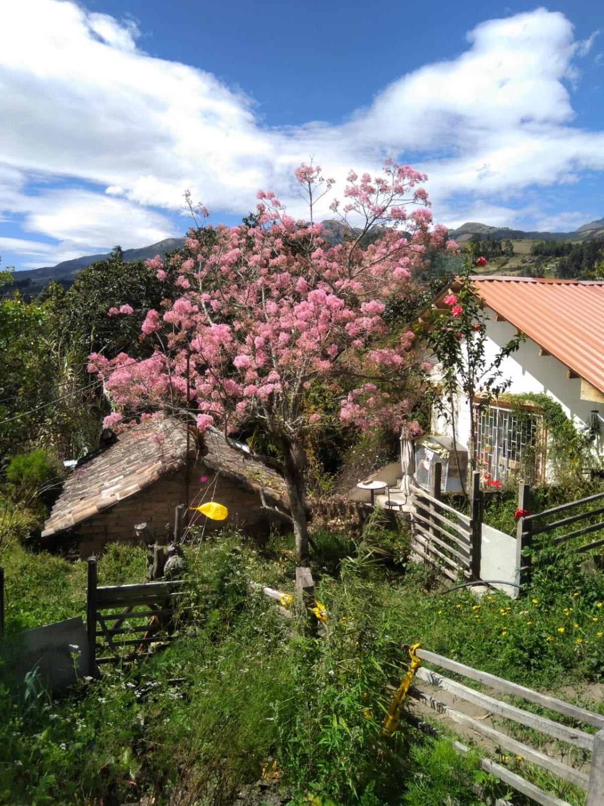 Quinta El Quinde