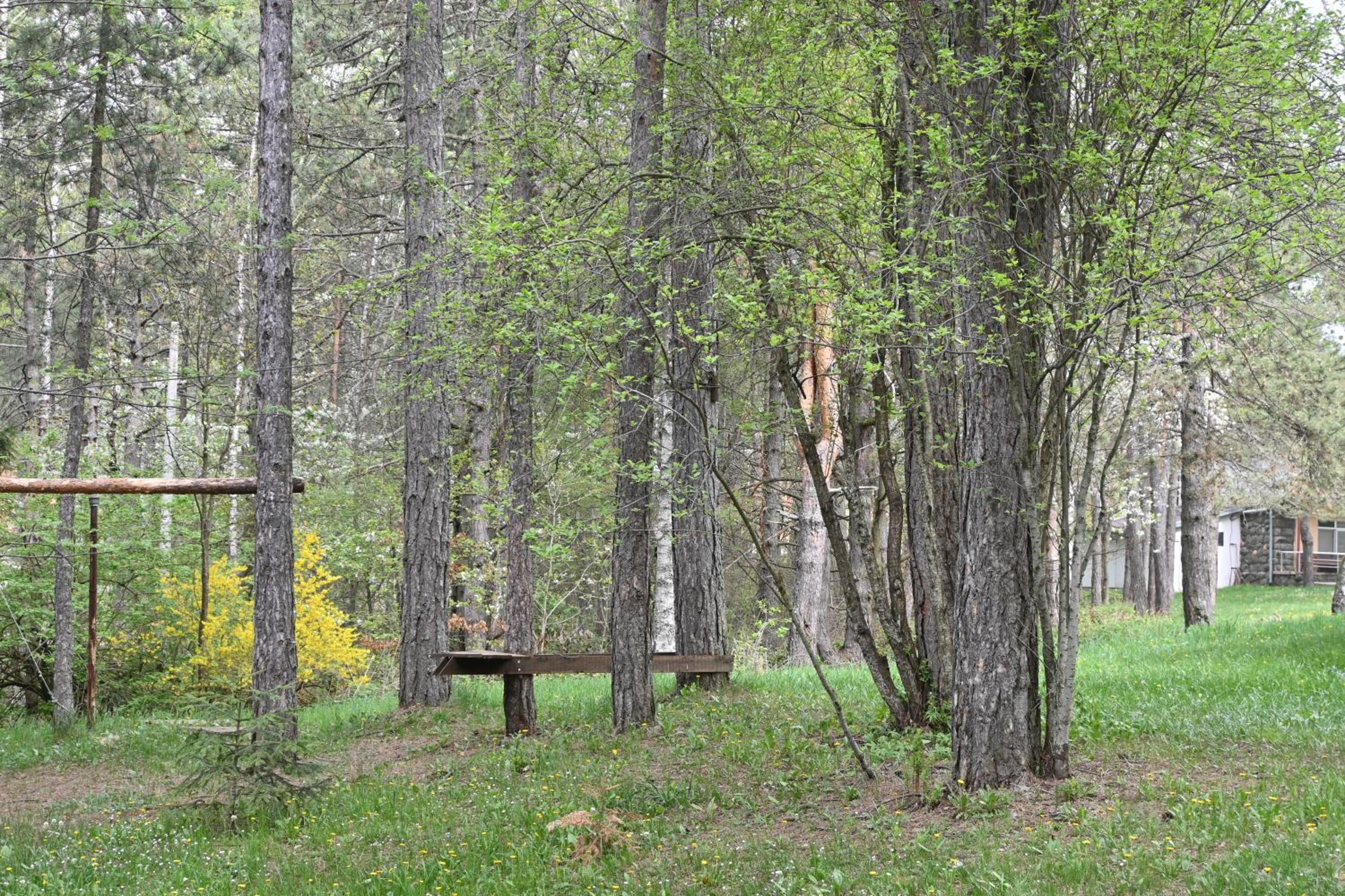 Photo 24