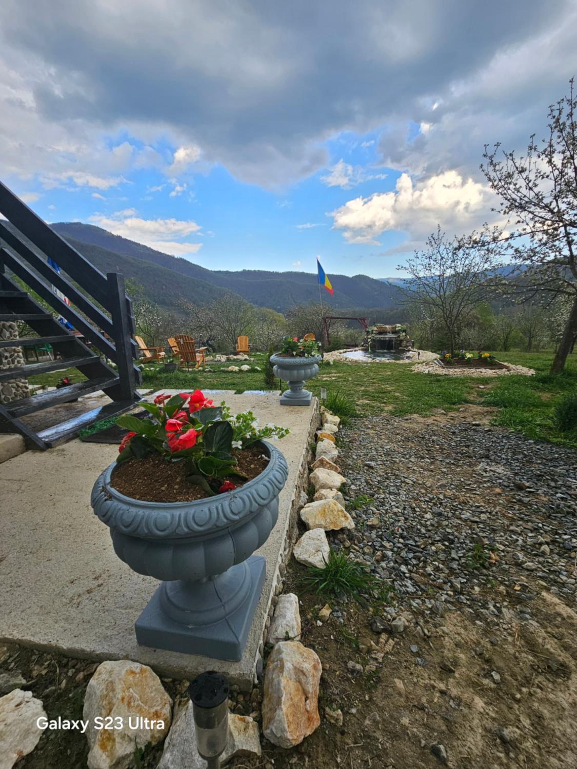 Cabana Apuseni Forest