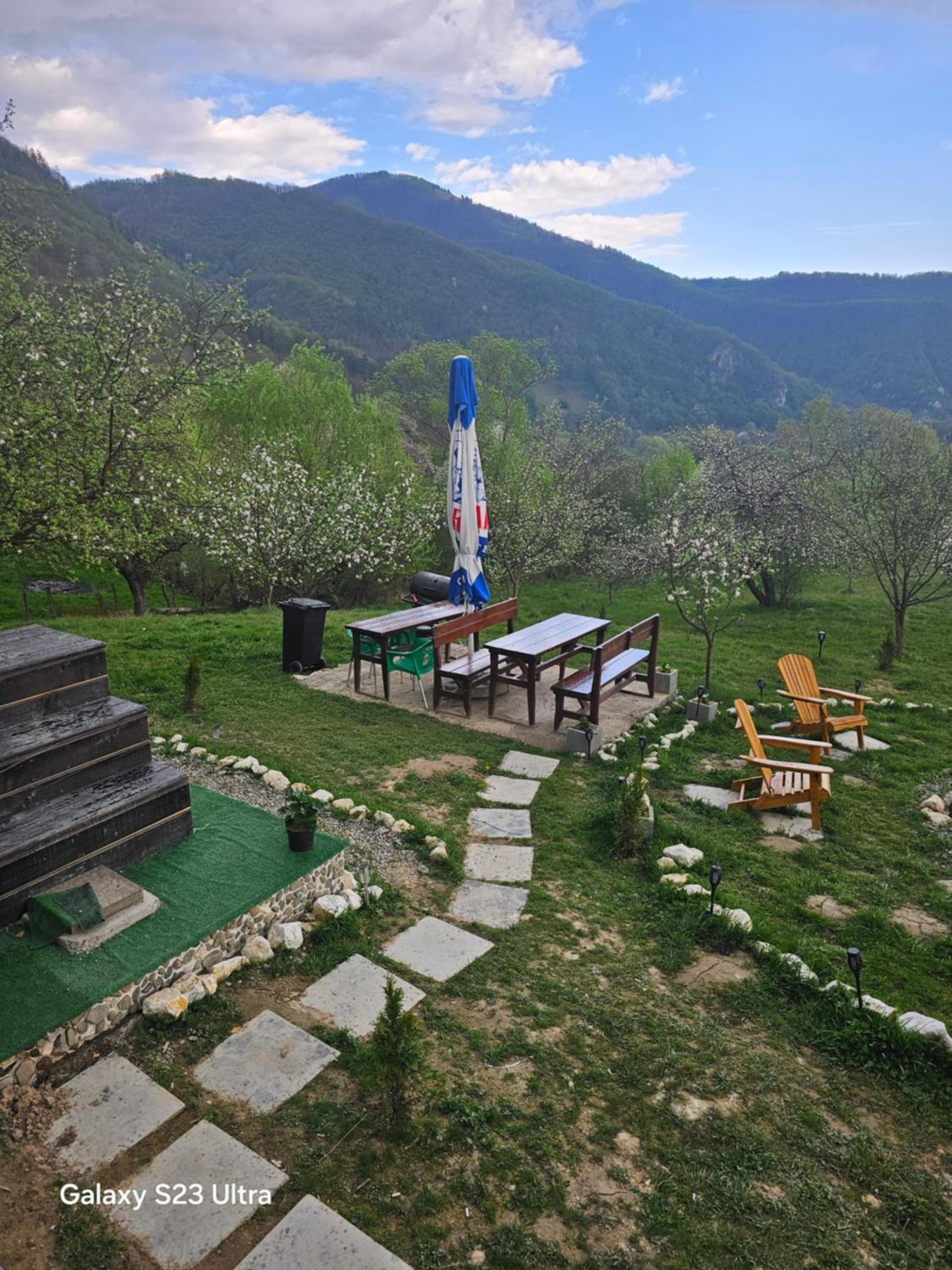 Cabana Apuseni Forest