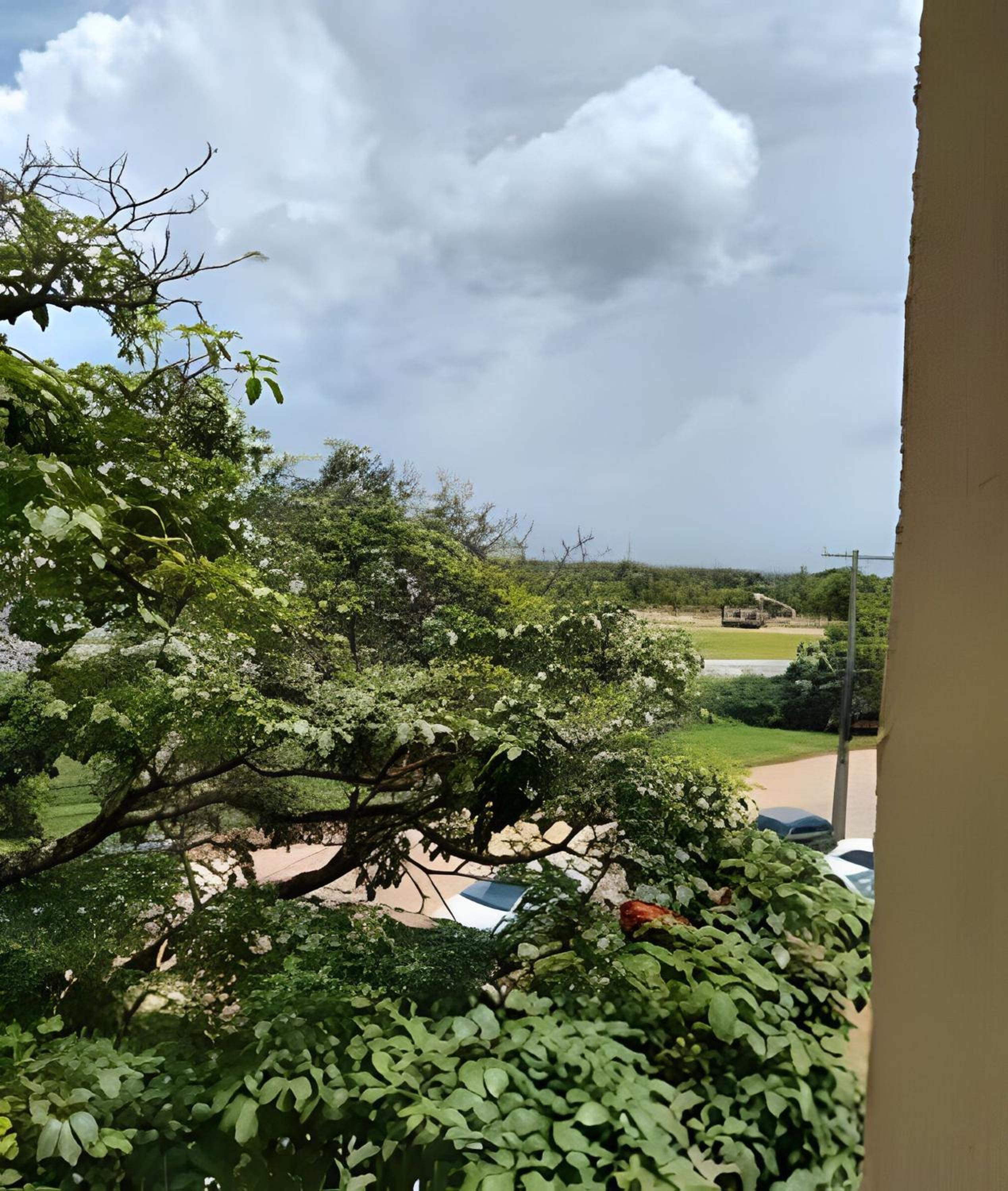 Vista p/parque, perto de tudo. Apto inteiro (loft)