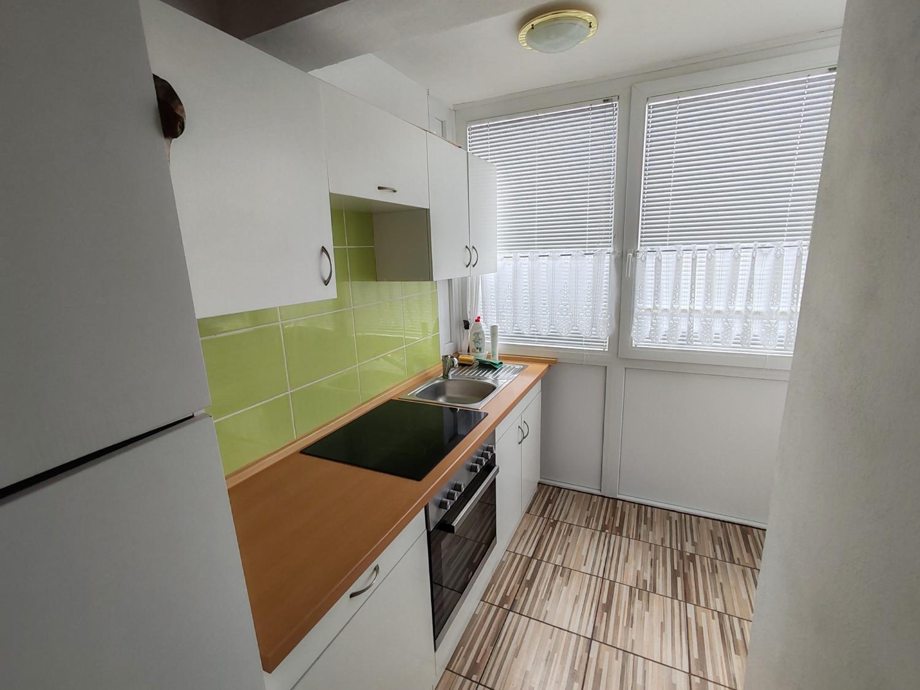 Apartment Aleksić