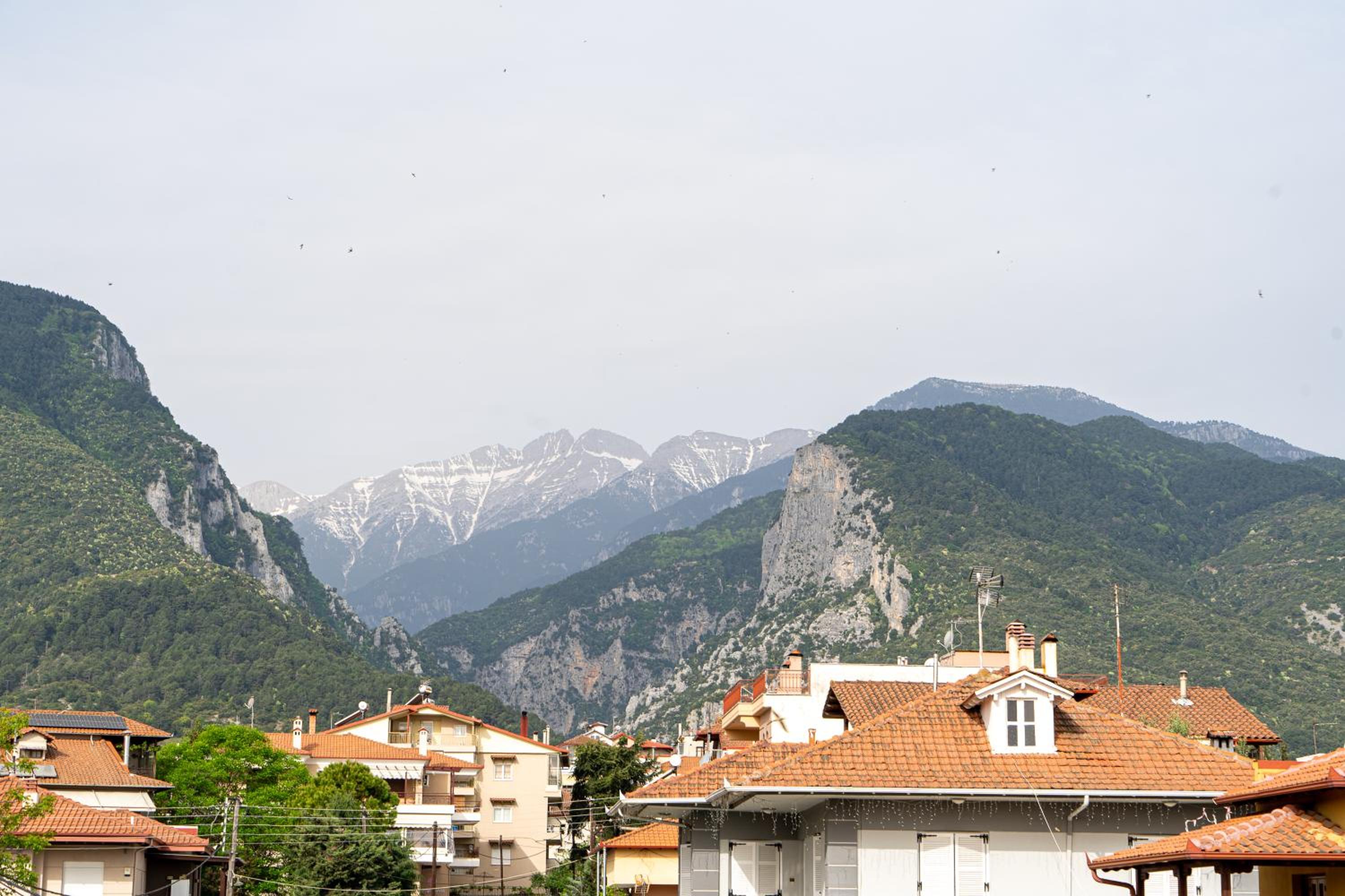 Ophelia - New Modern Apartment with Spectacular Olympus View photo 2