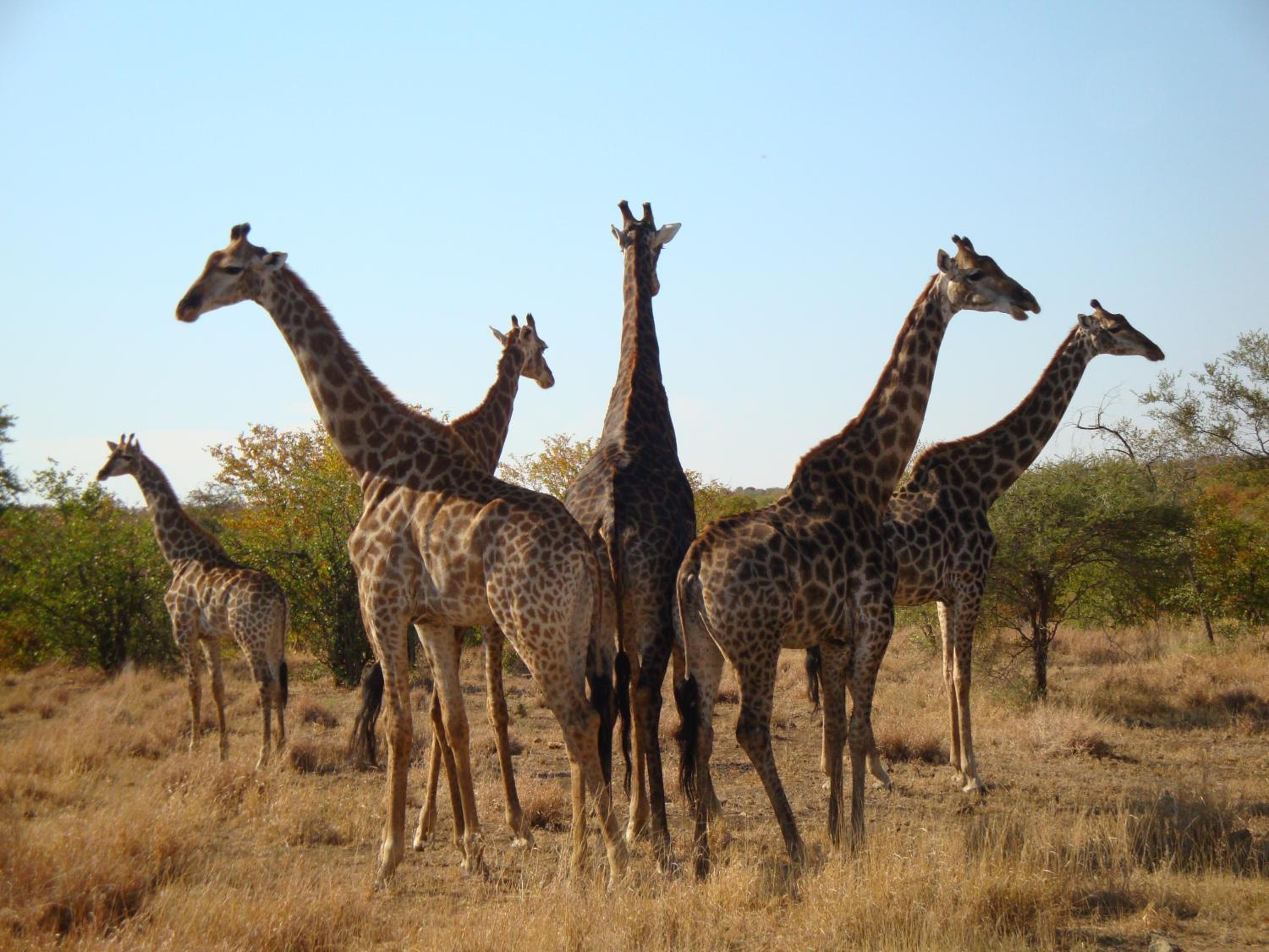 57 Waterberg