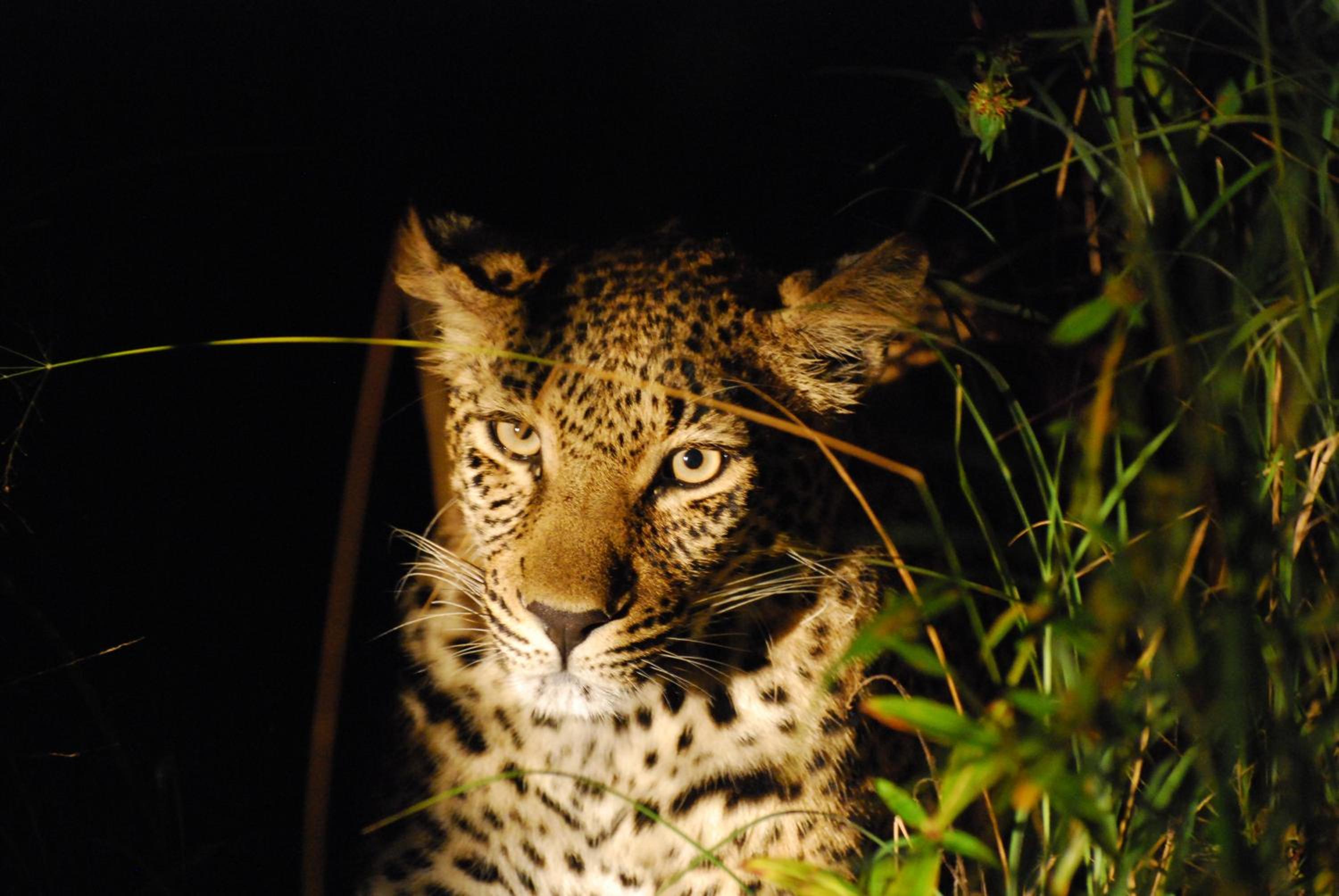 57 Waterberg