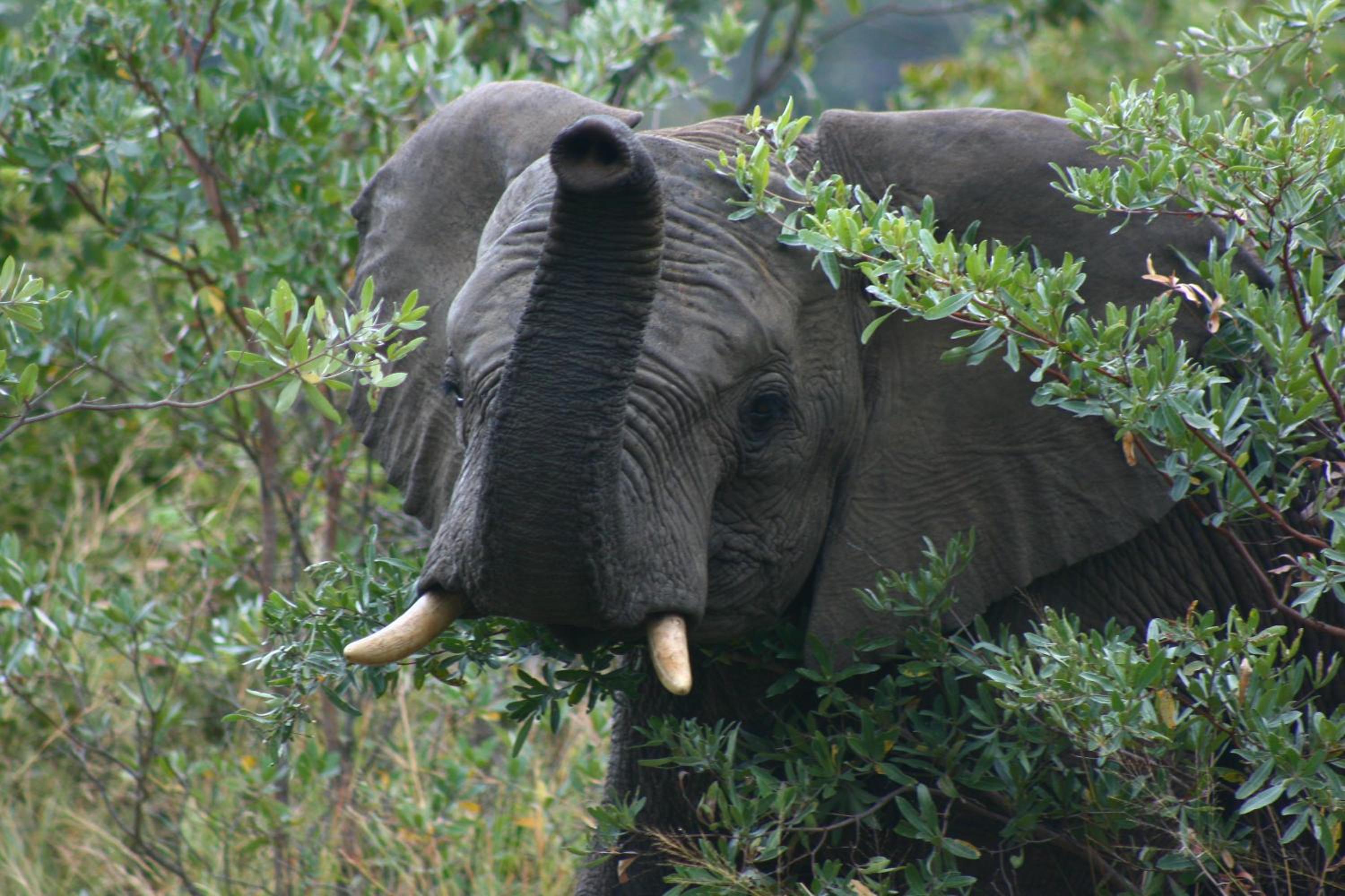 57 Waterberg