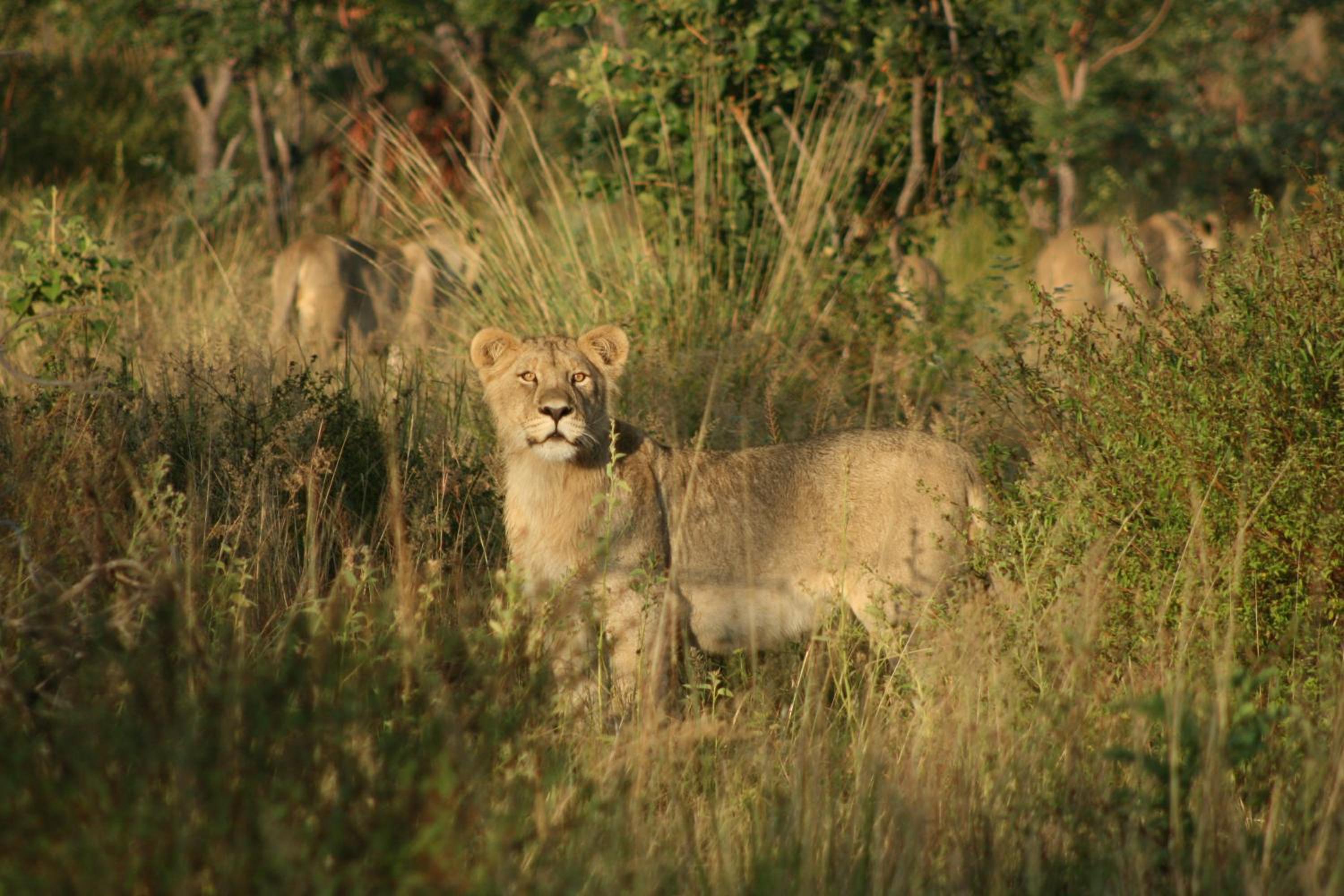 57 Waterberg