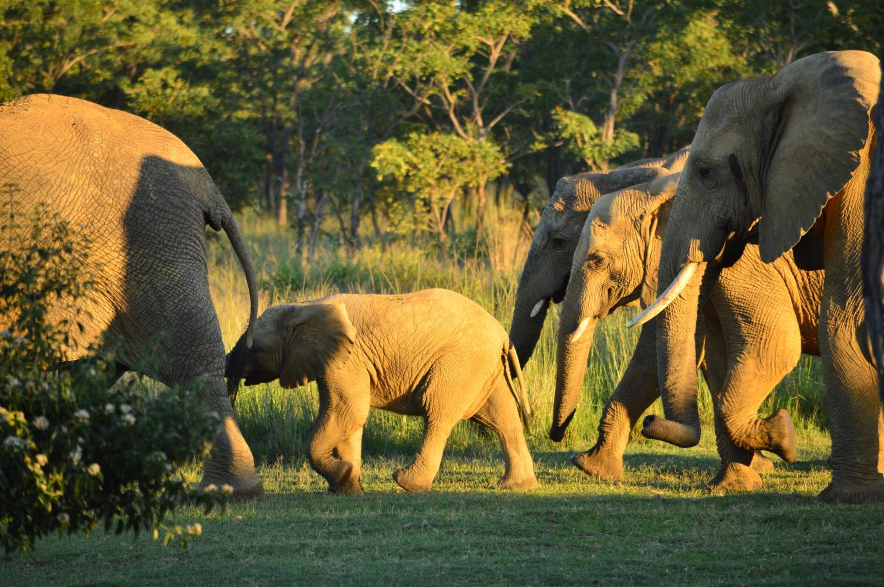 57 Waterberg