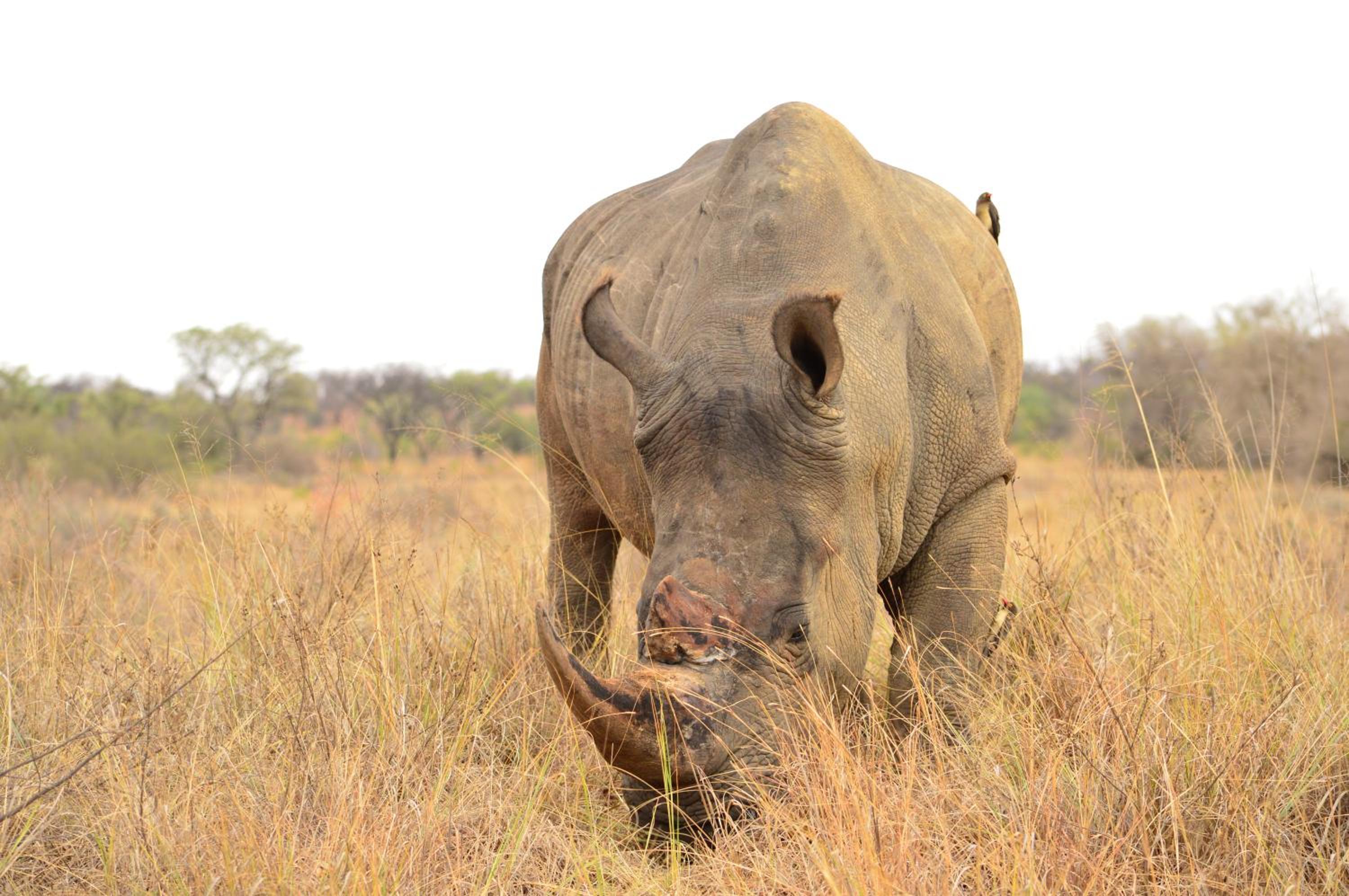 57 Waterberg