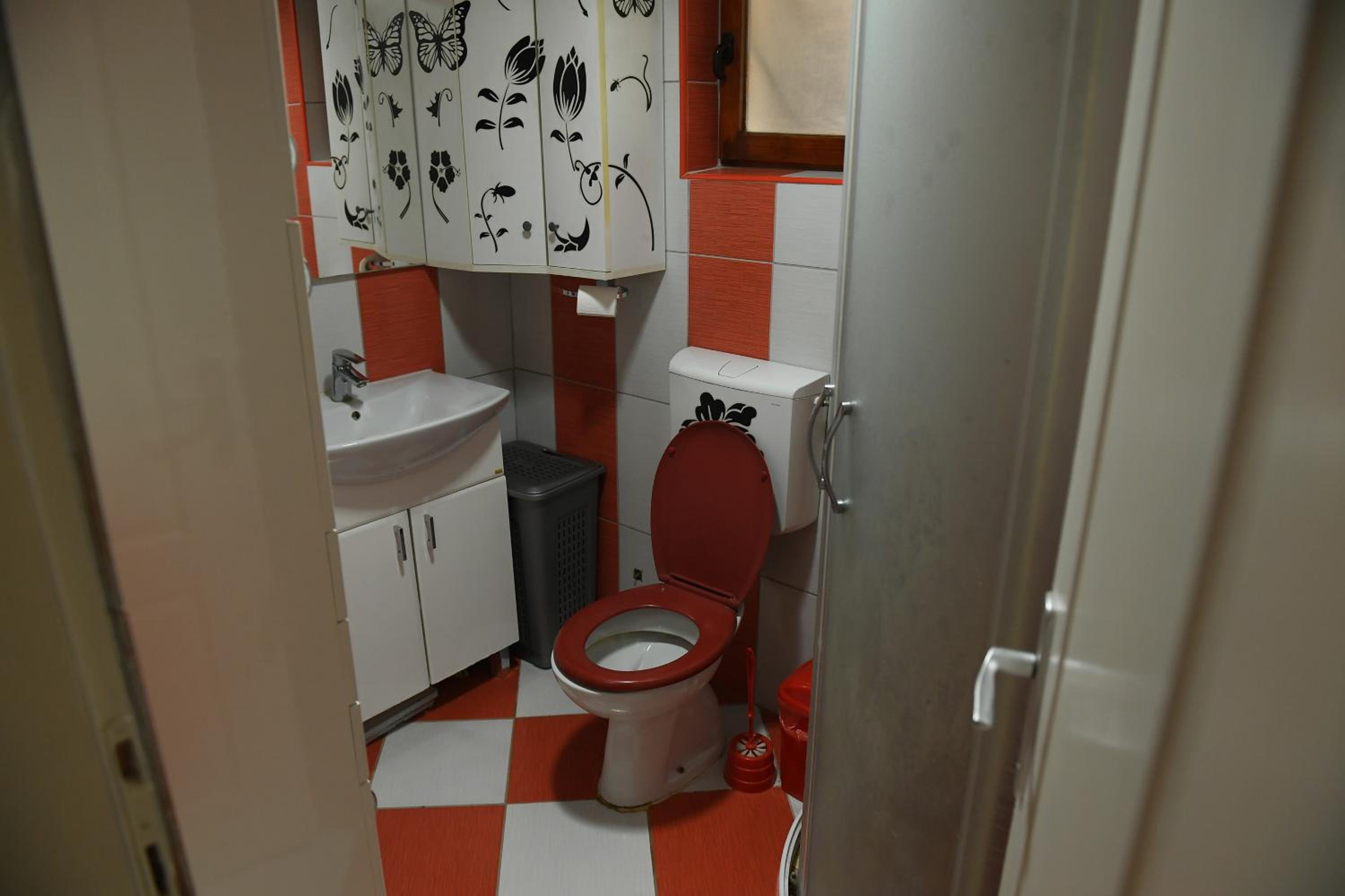 Photo 8
