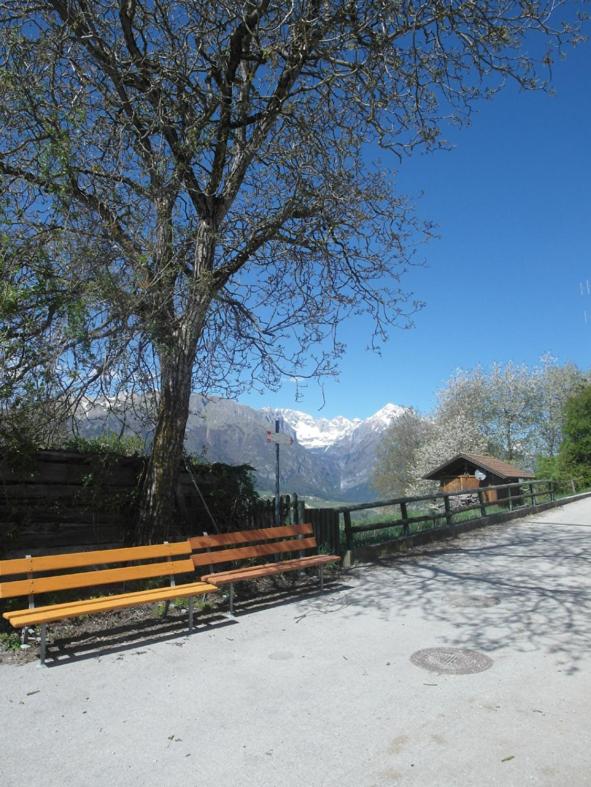 Photo 20