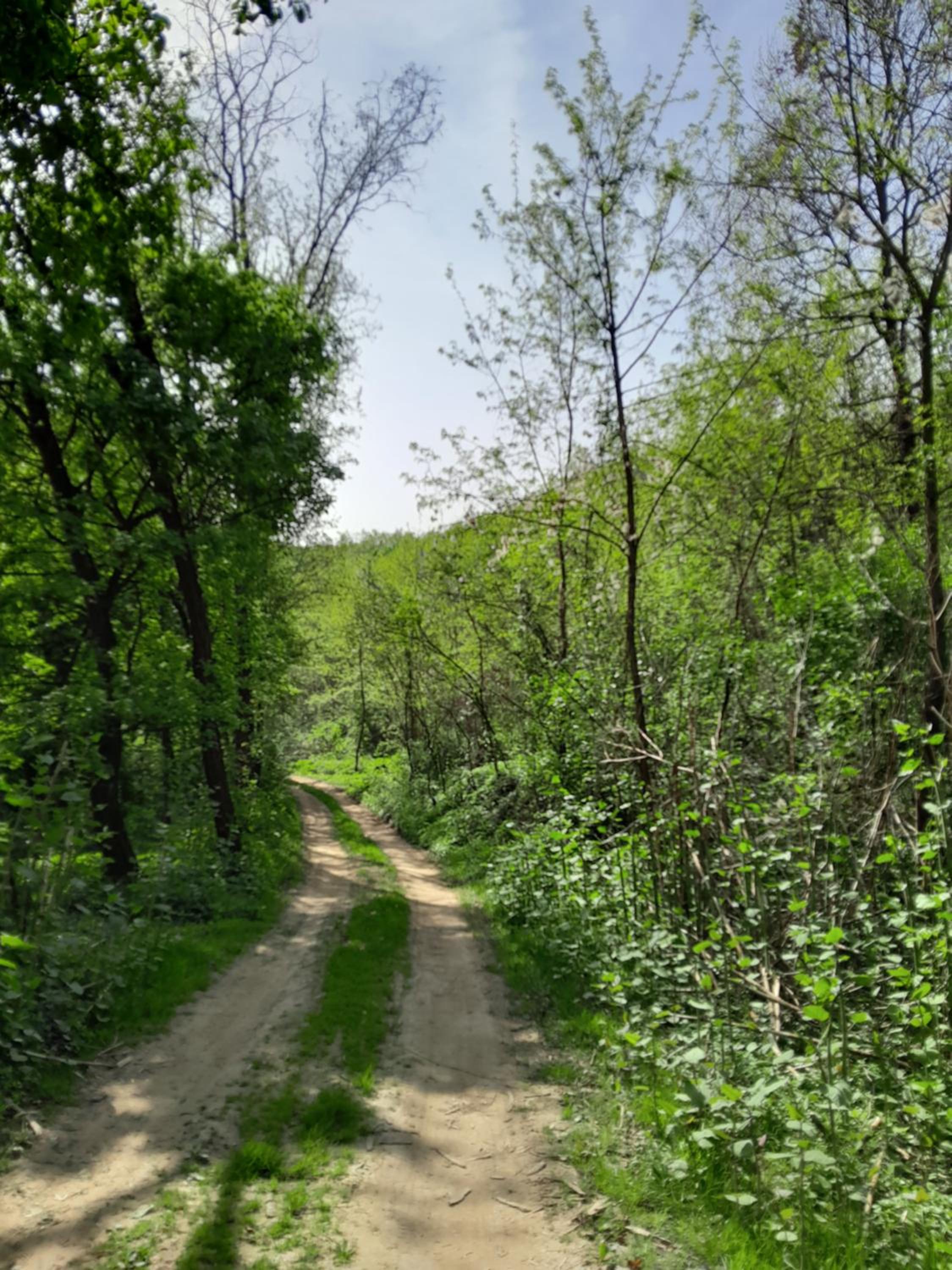other