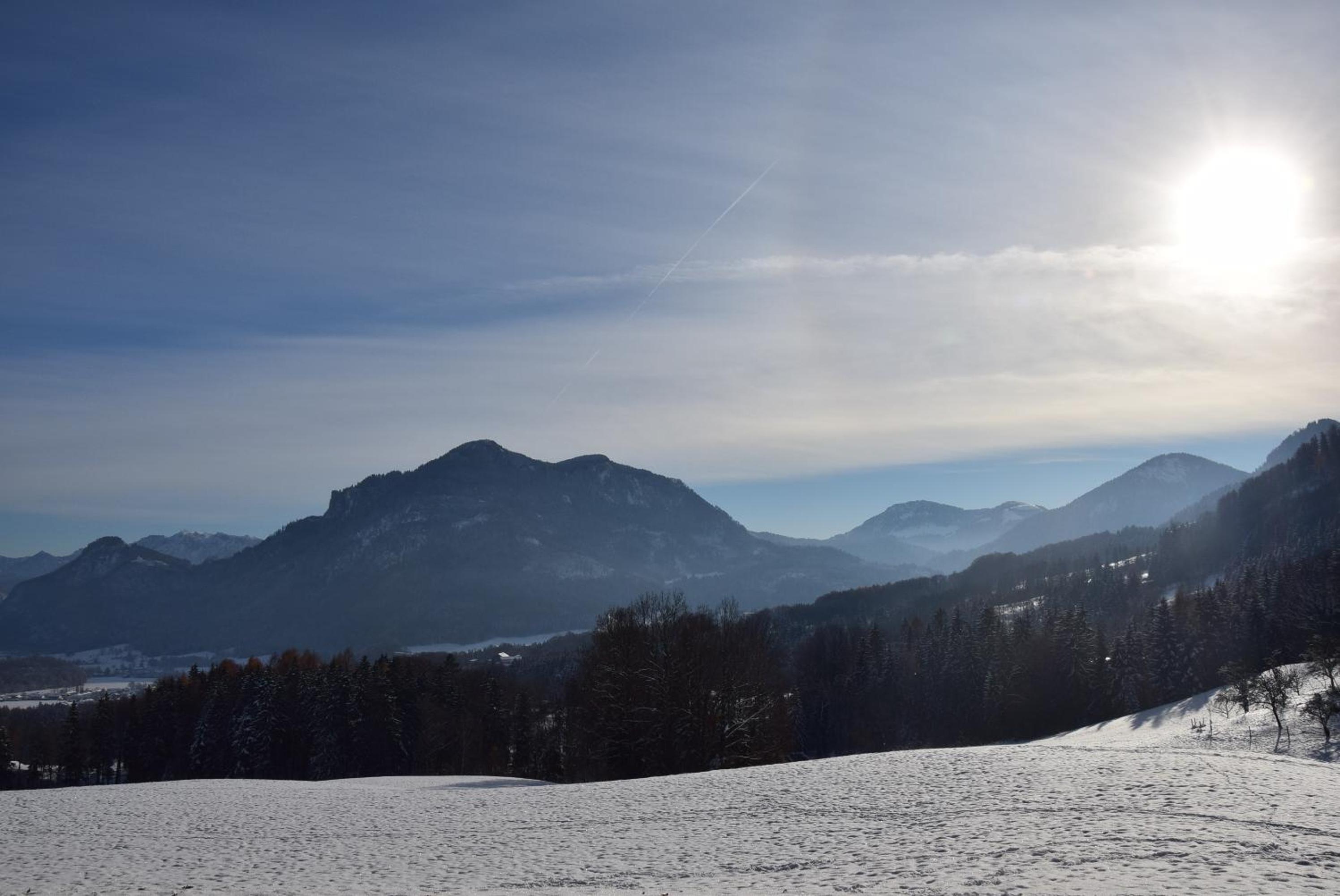 Schlossalm Ferienwohnungen
