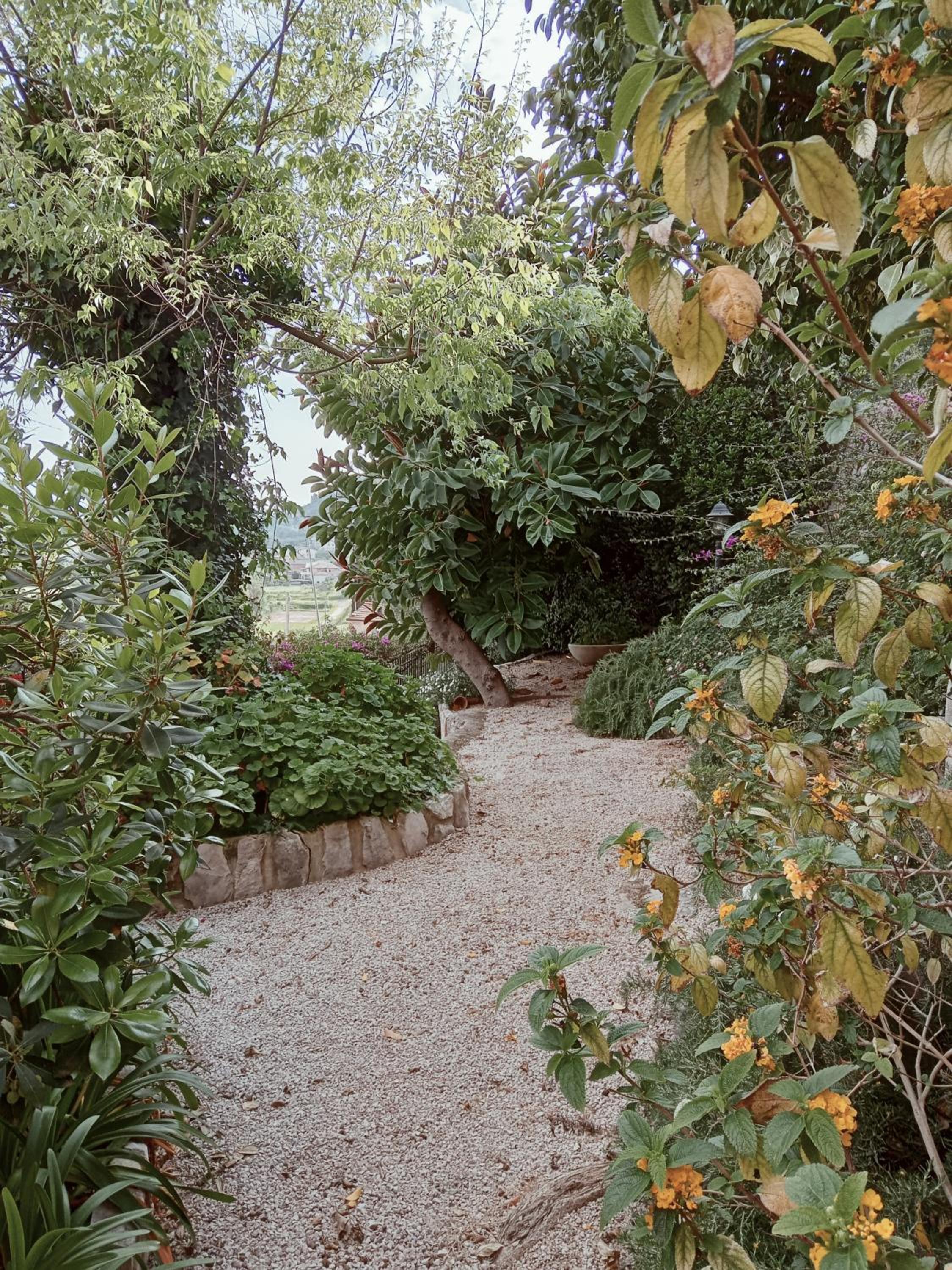 "Le Chat Libre" Alloggio Turistico photo 4