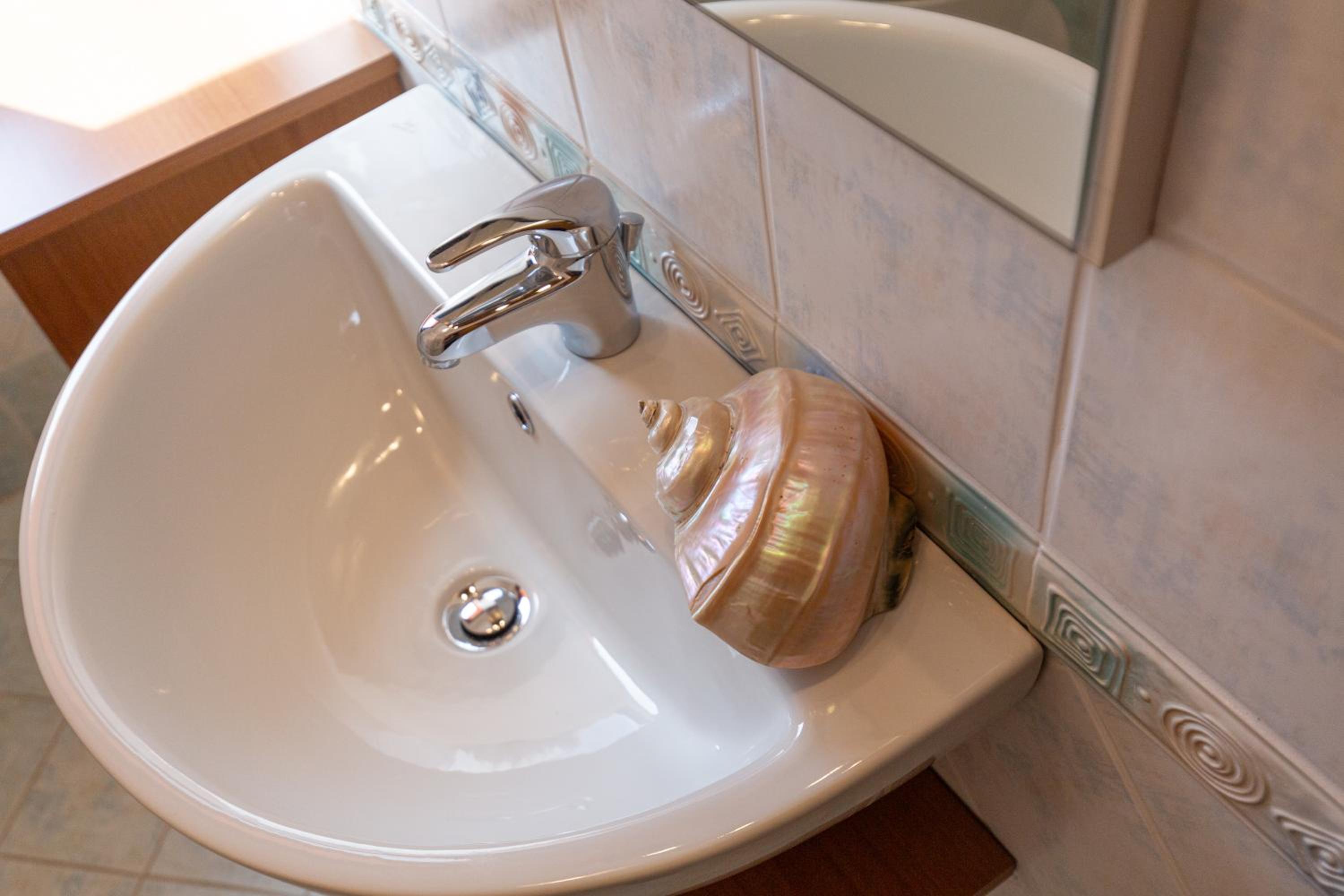 Photo 239