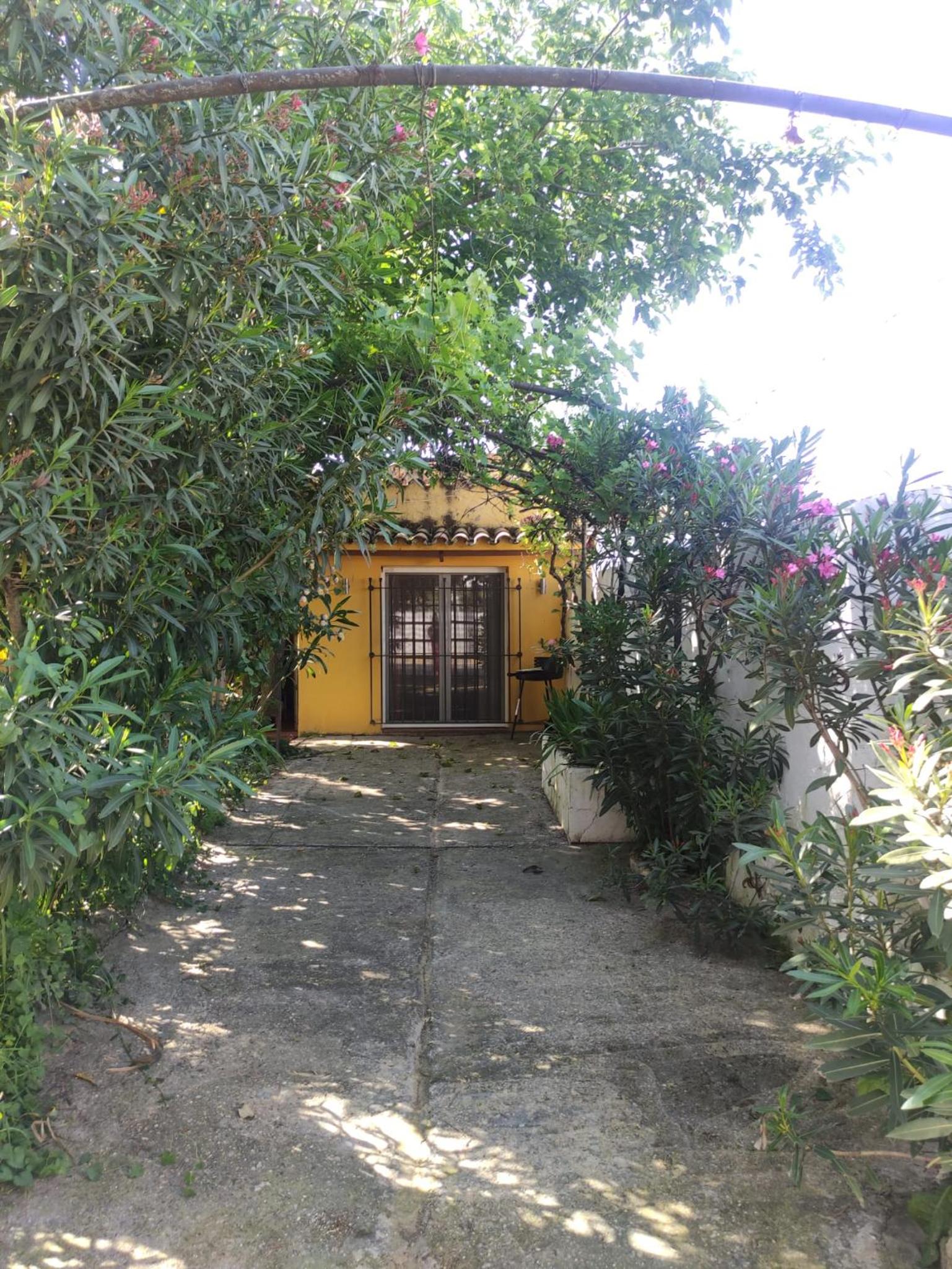 Photo 24