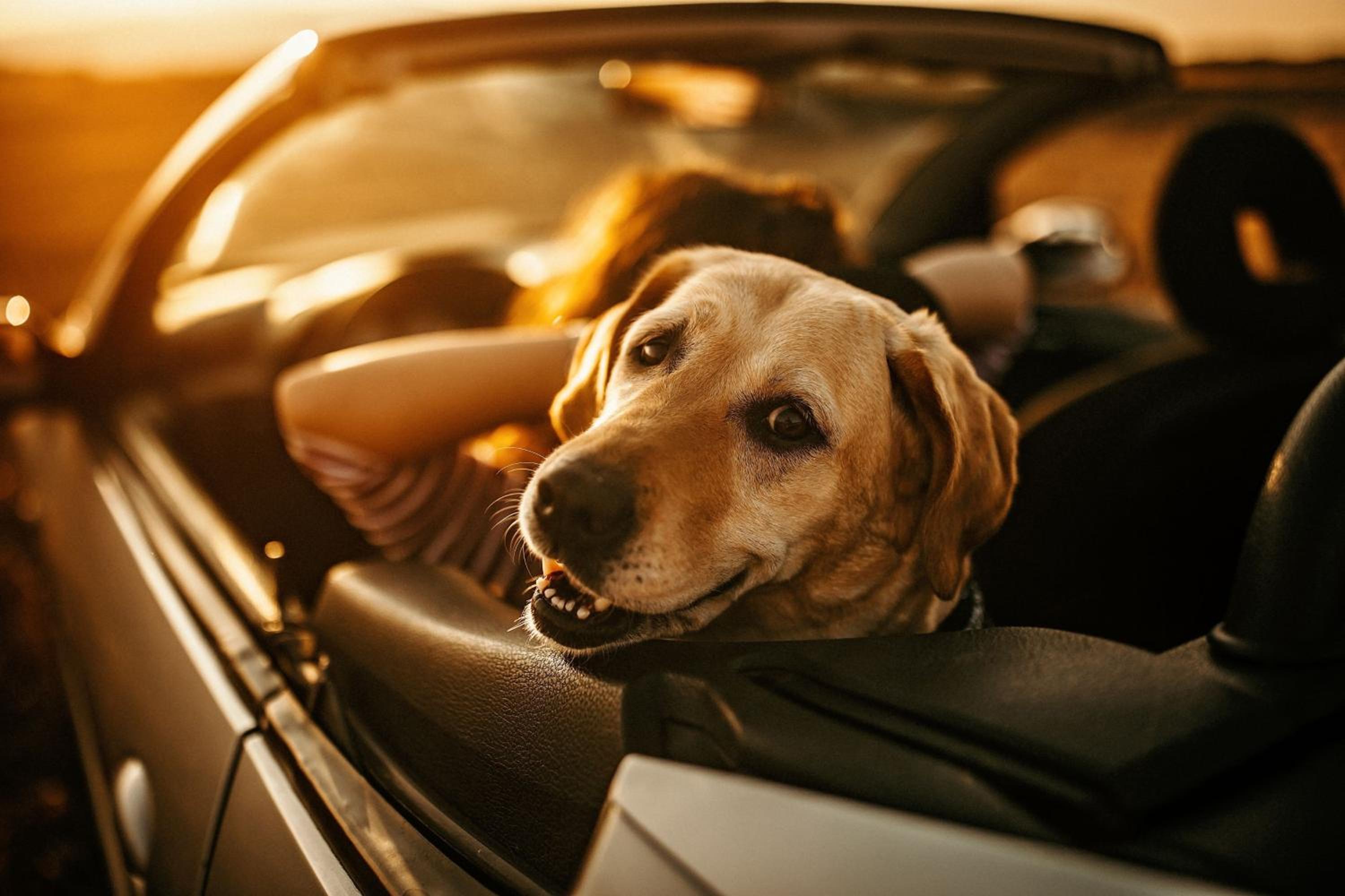 Portland Vacations - The Westin Portland Harborview - Property Image 60