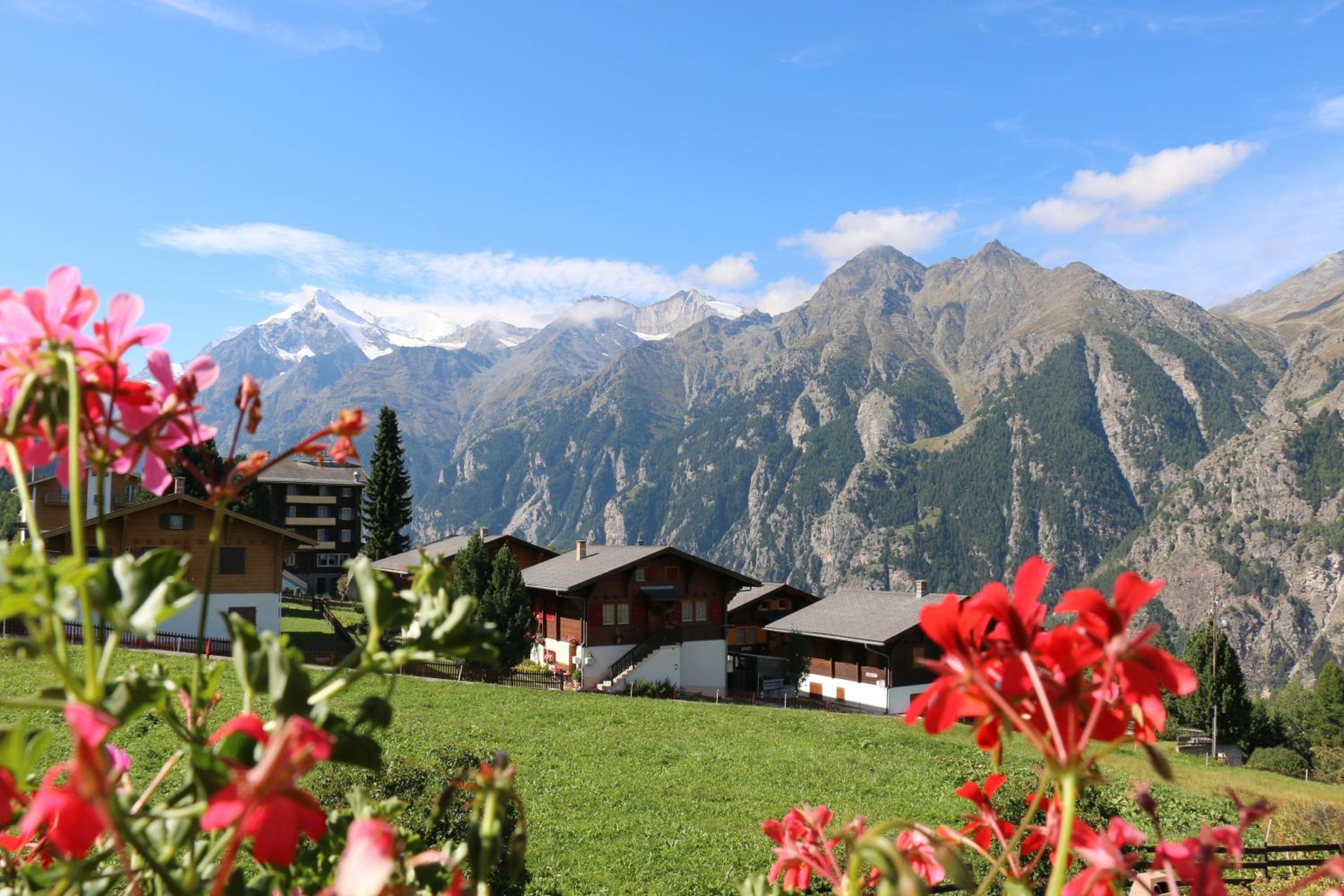 Haus Bel-Air view 5