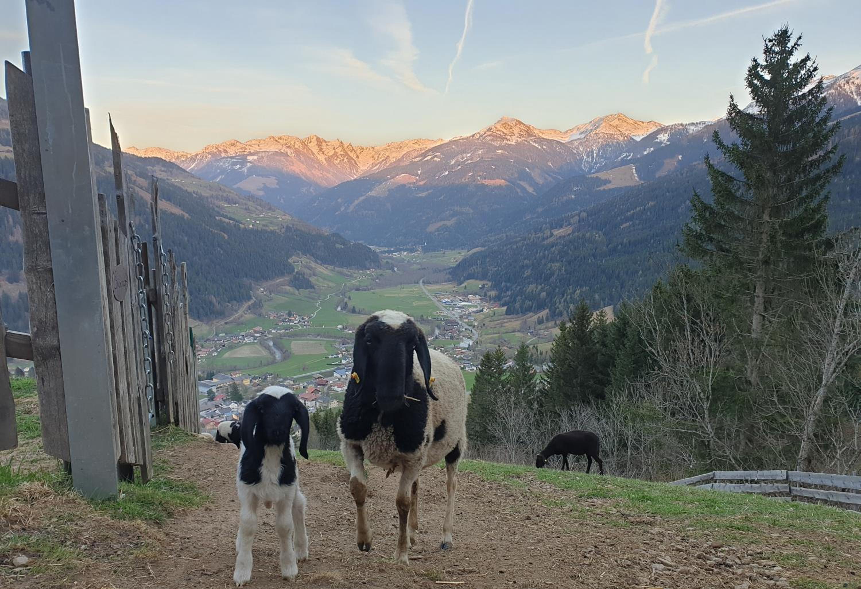 Panoramahof Bianca