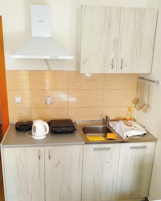 Studio apartman Eden sea view photo 4