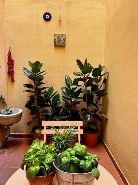 La Casa dei Librai