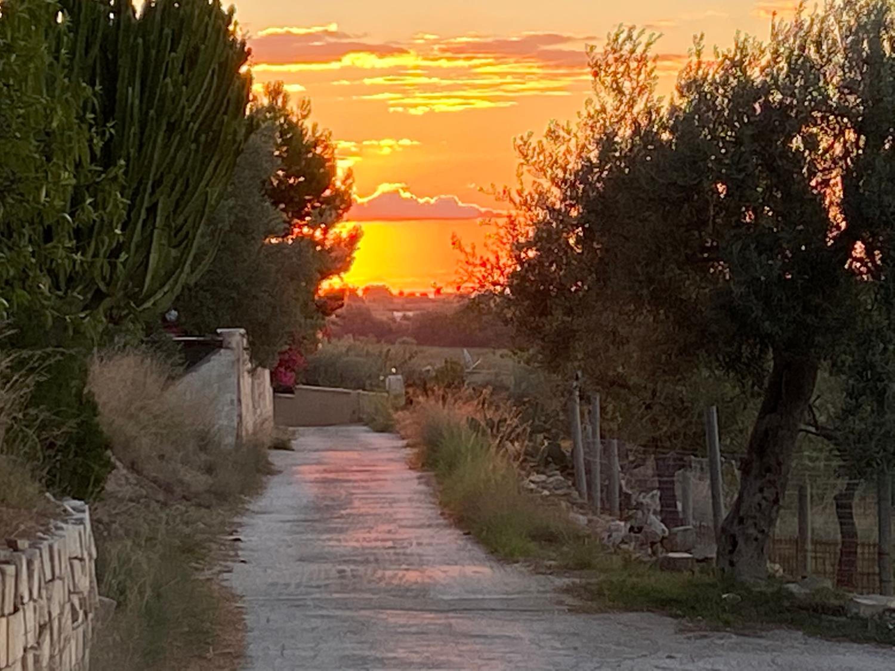 Villa Matilde view 3
