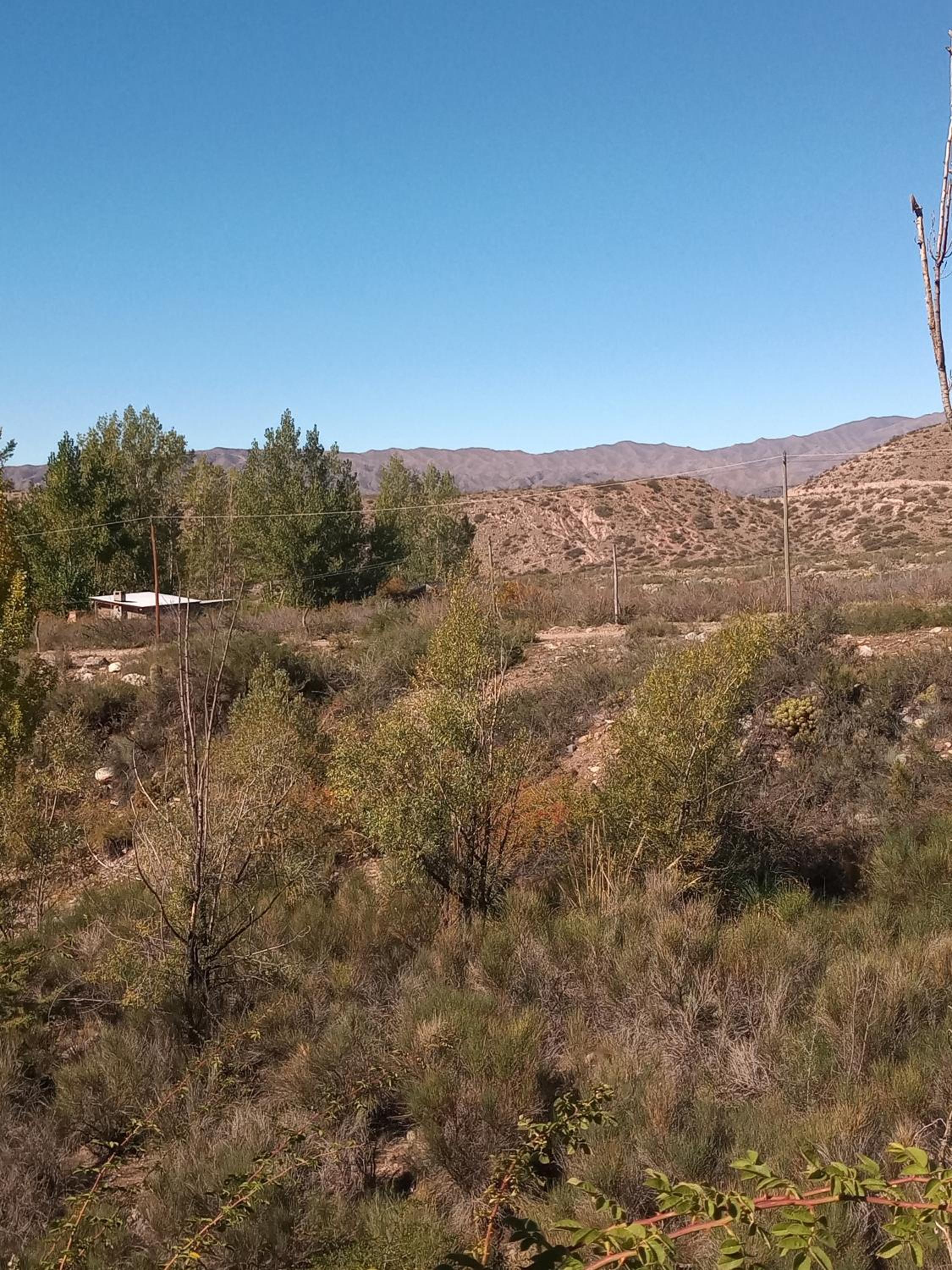 Cabañas Rowal Potrerillos