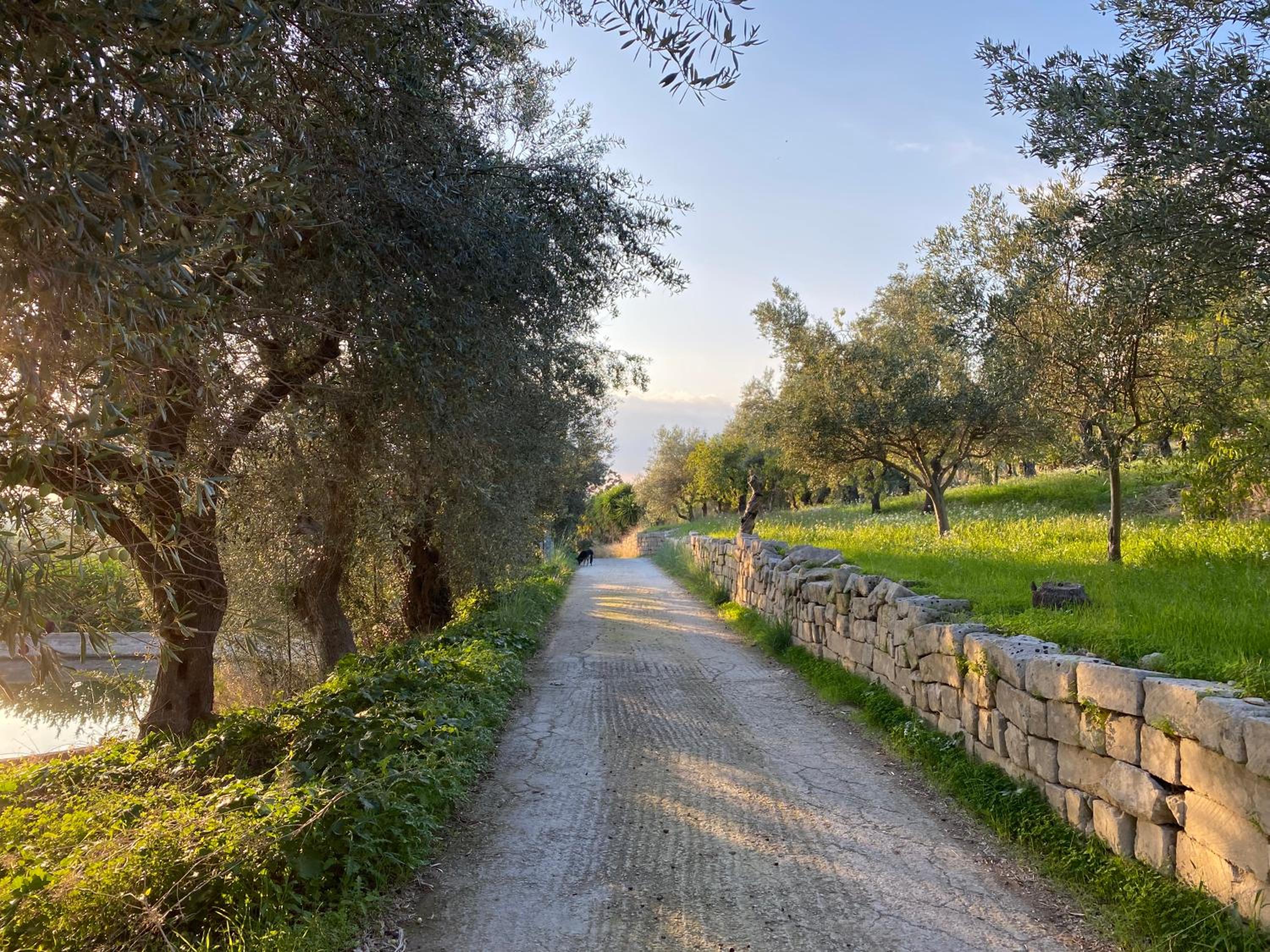 Villa Matilde view 4