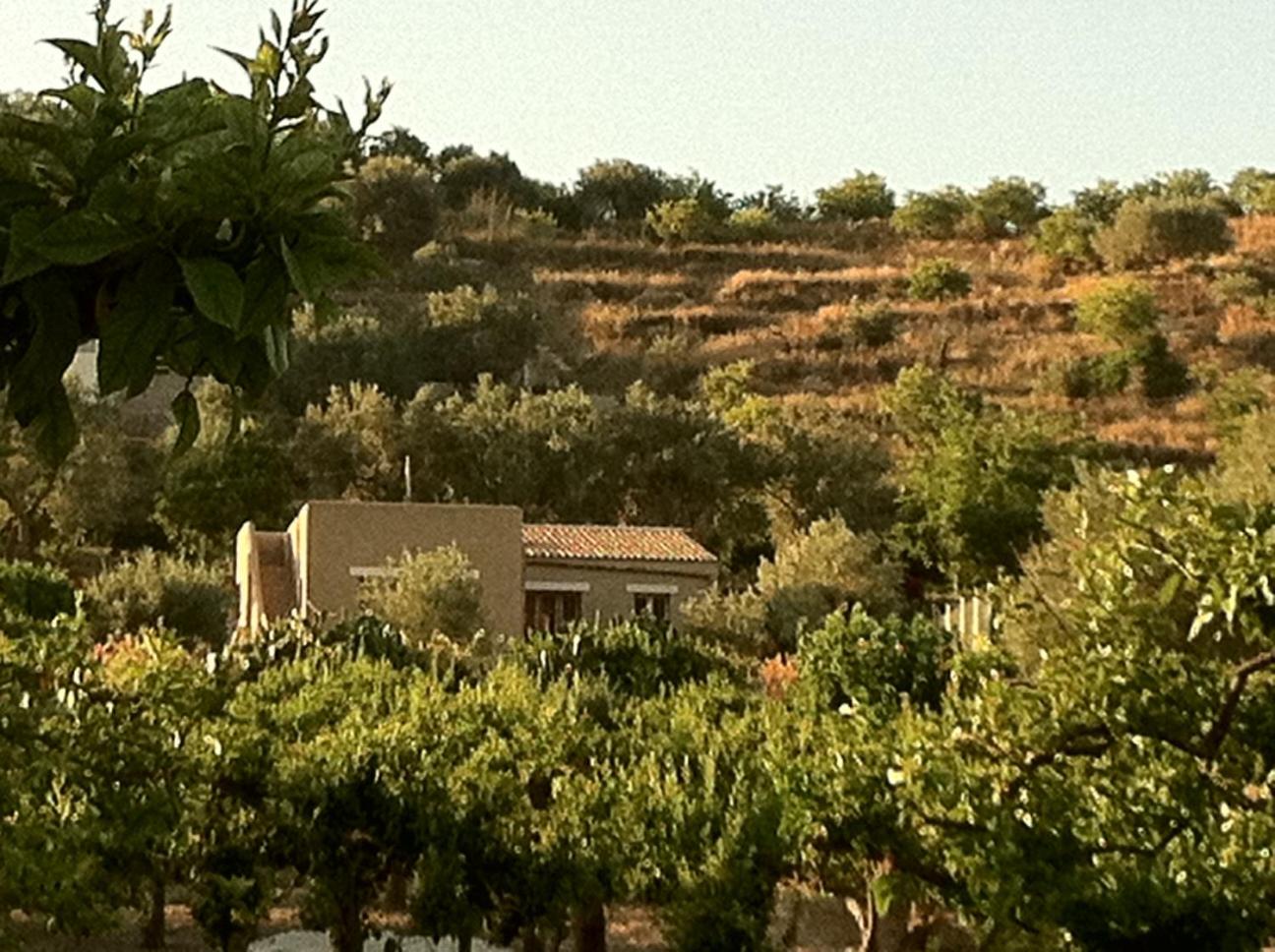 Villa Matilde view 2