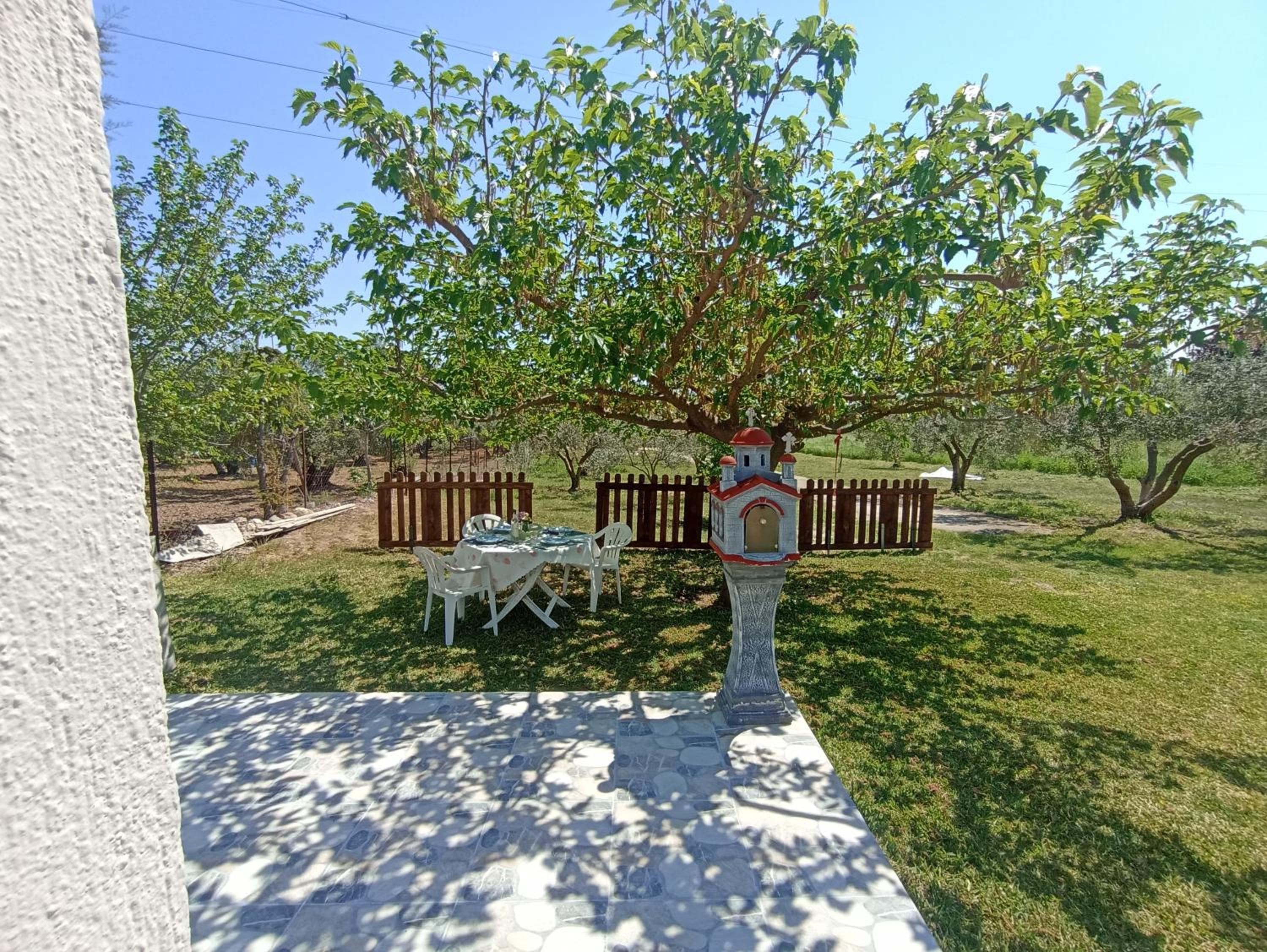 Photo 20
